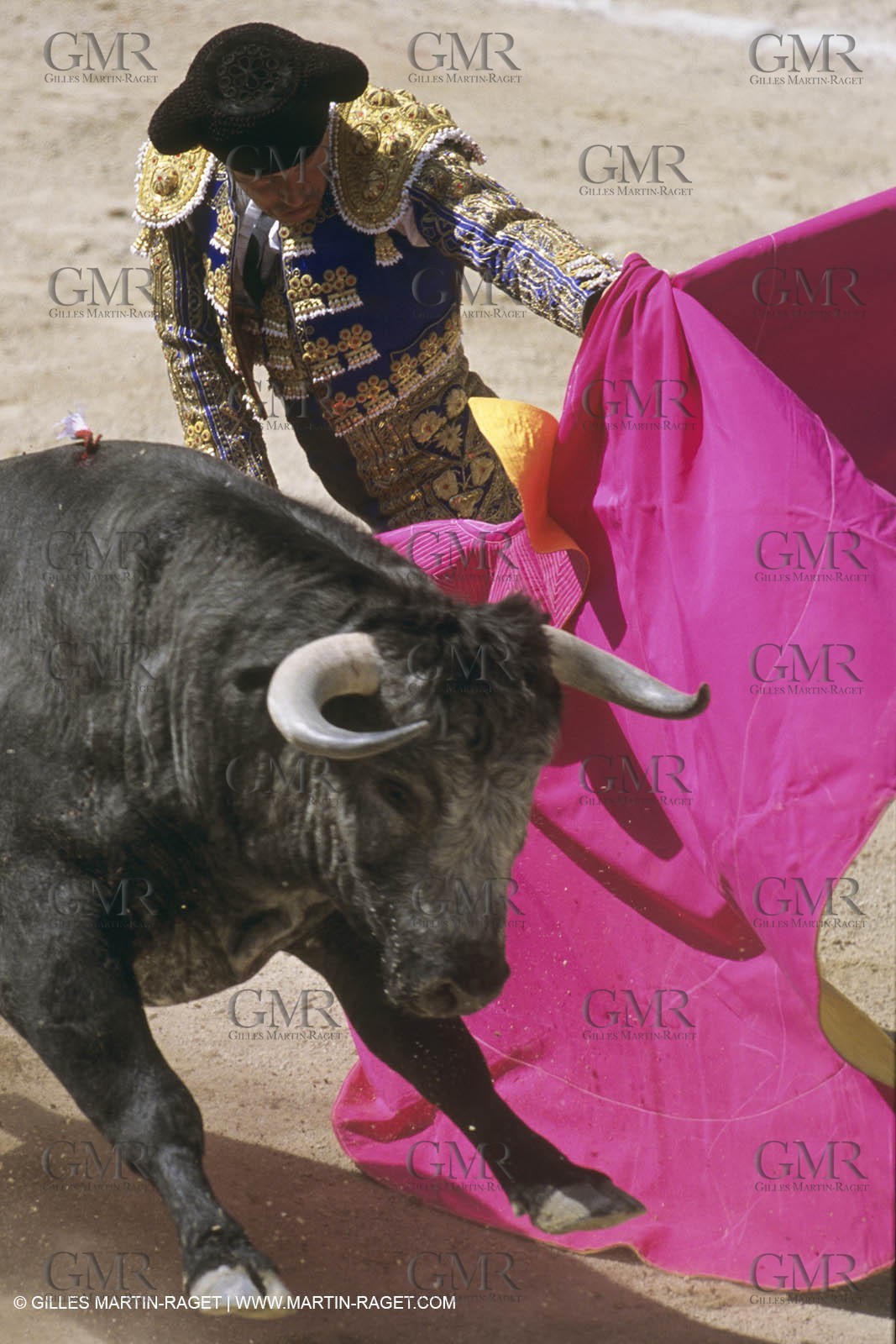 France, Provence, Traditions, tauromachie,