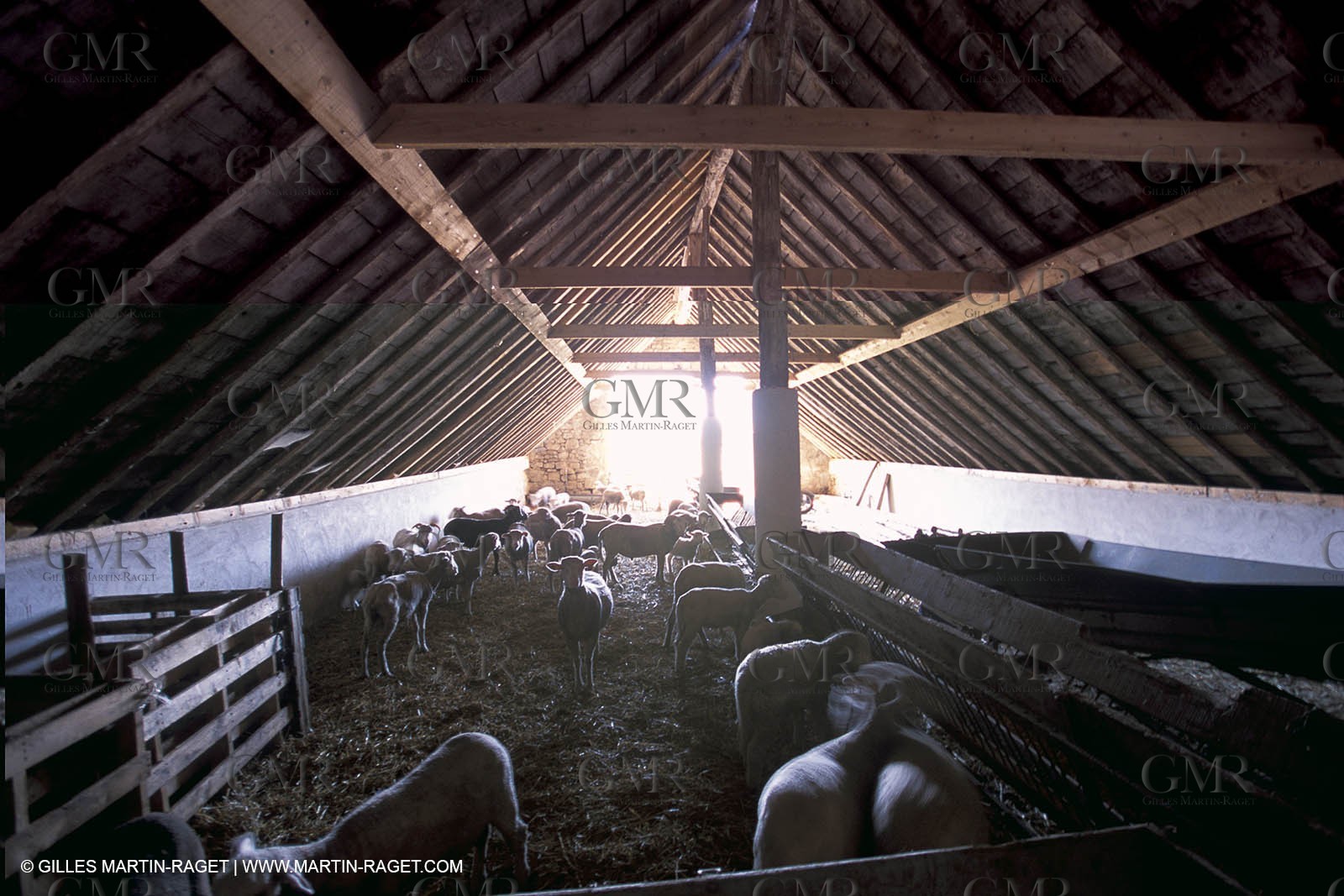Camargue typical house