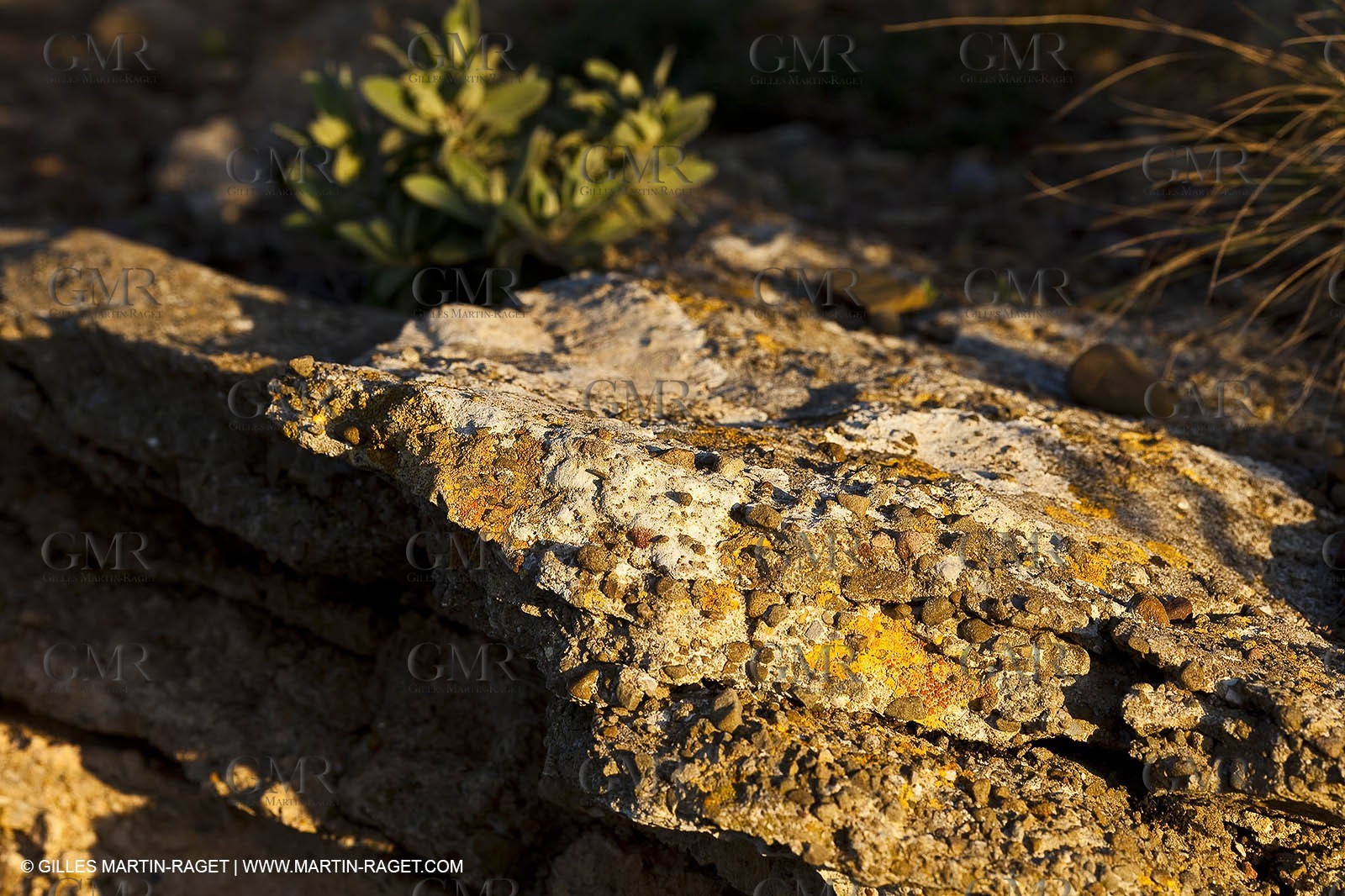 Décember 2009 - Marseille (FRA) - Les Calanques as seen from Cape Canaille
