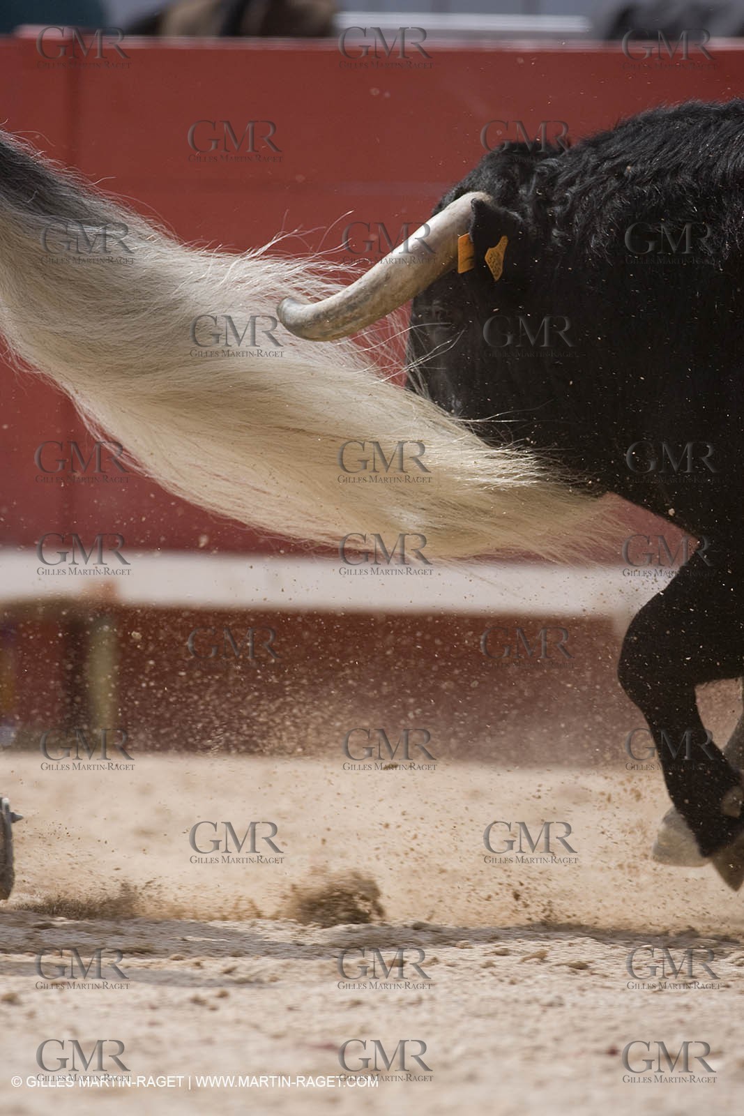 25 03 2008 - Arles (FRA, 13) - Feria 2008 - Bullfight with horses
