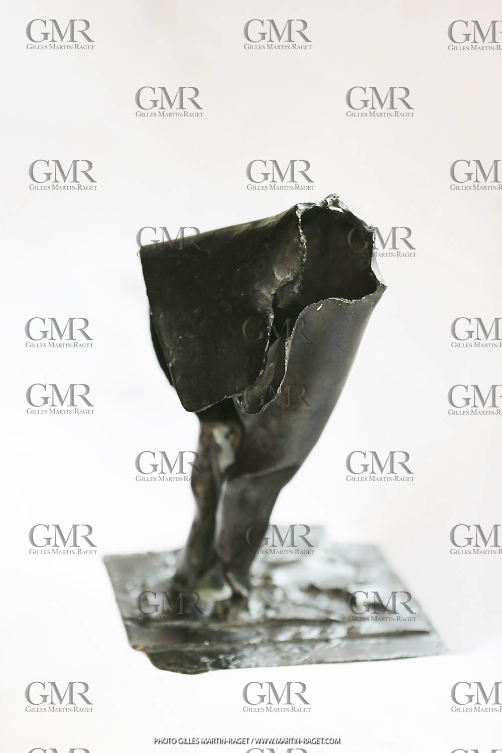 20 03 2016, St Rémy de Provence (FRA,13), Oeuvre de Germaine Richier, L'outre 1956, Bronze Patiné foncé, Numéroté 3 8, 28,5x24x19,5 cm, collection particulière