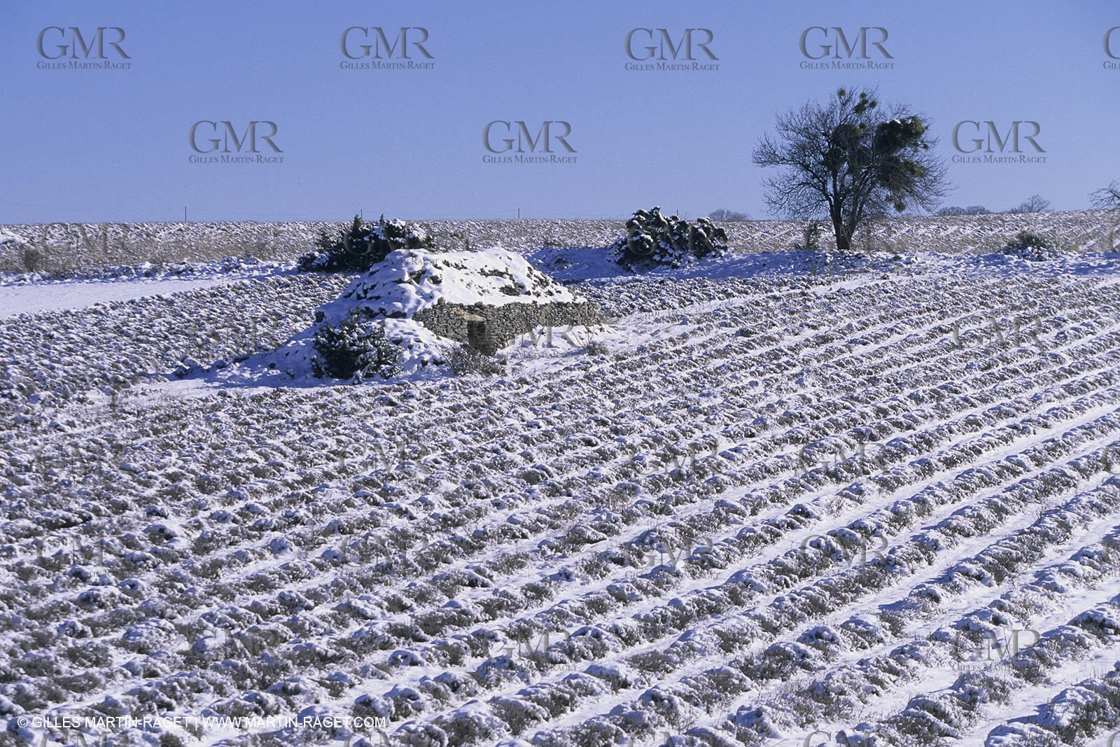 Provence under snow