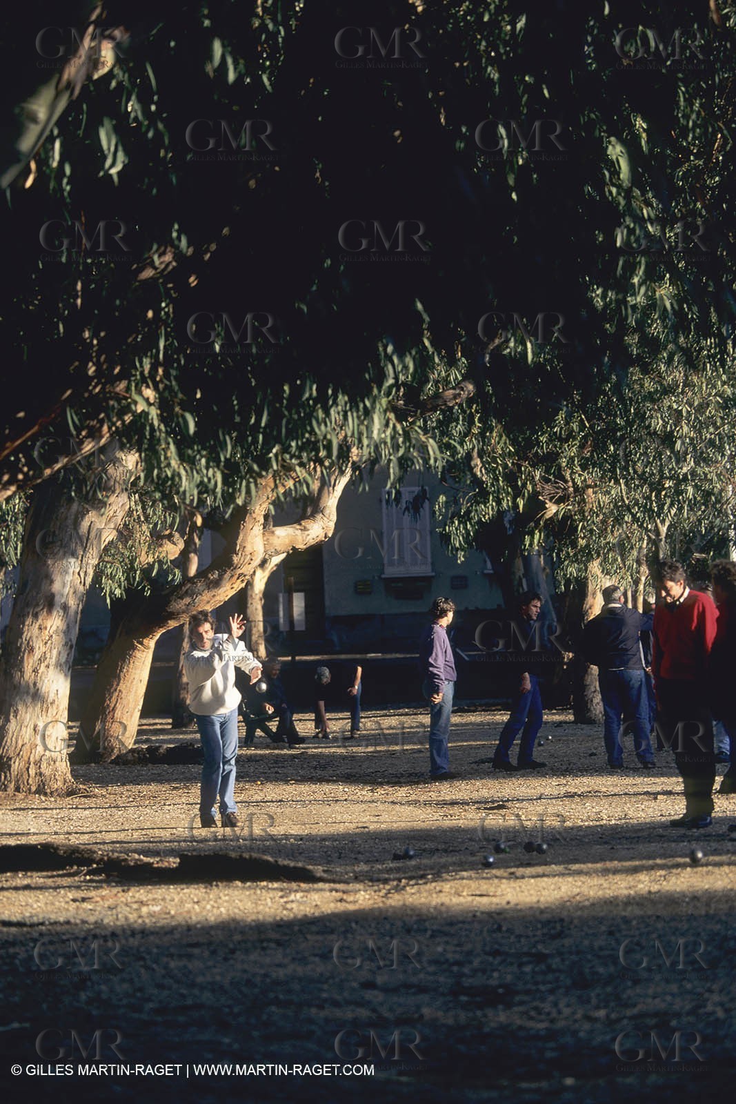 France, Provence, Iles d'Hyères, Porquerolles