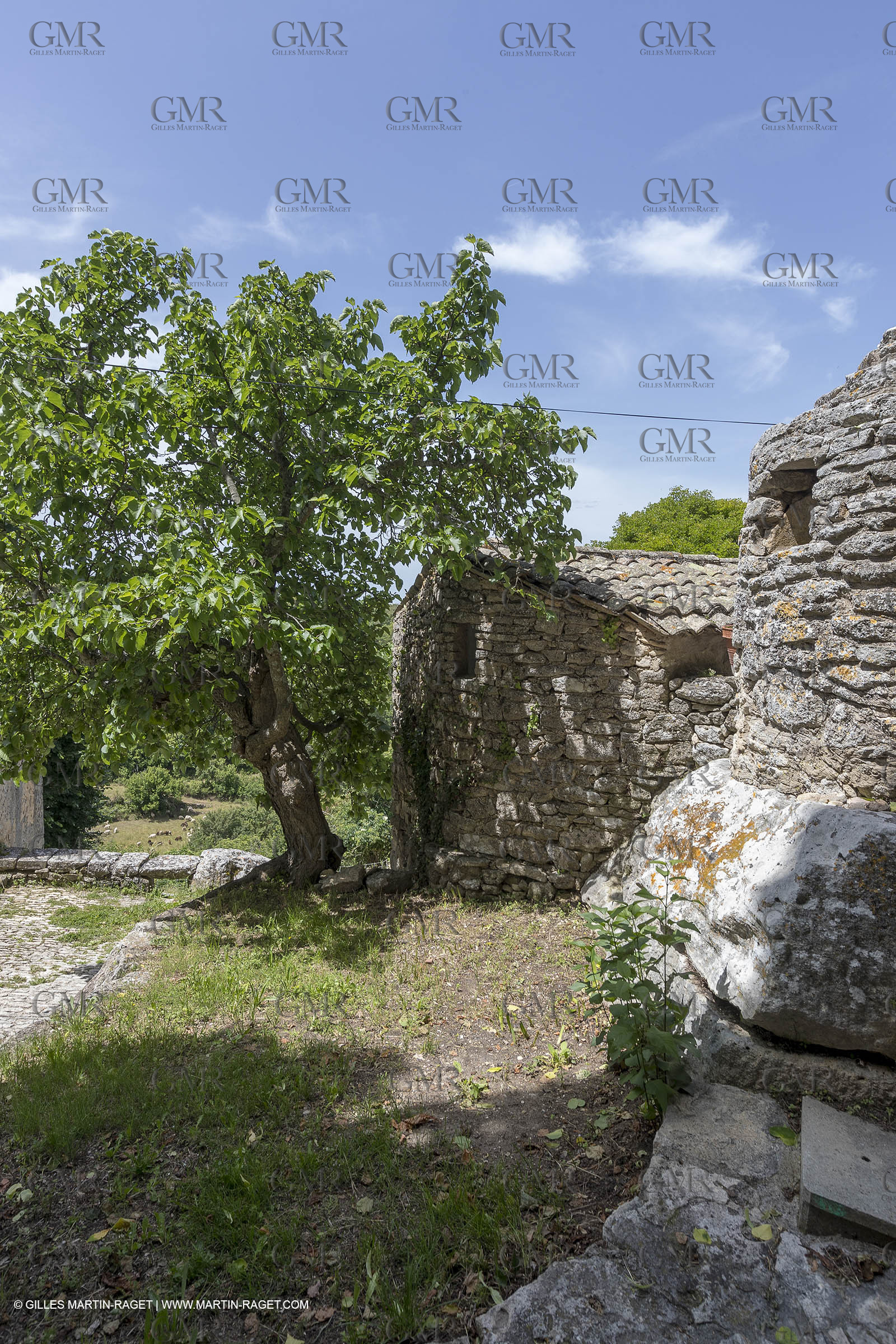 10 06 2018, Sivergues (FRA,84)