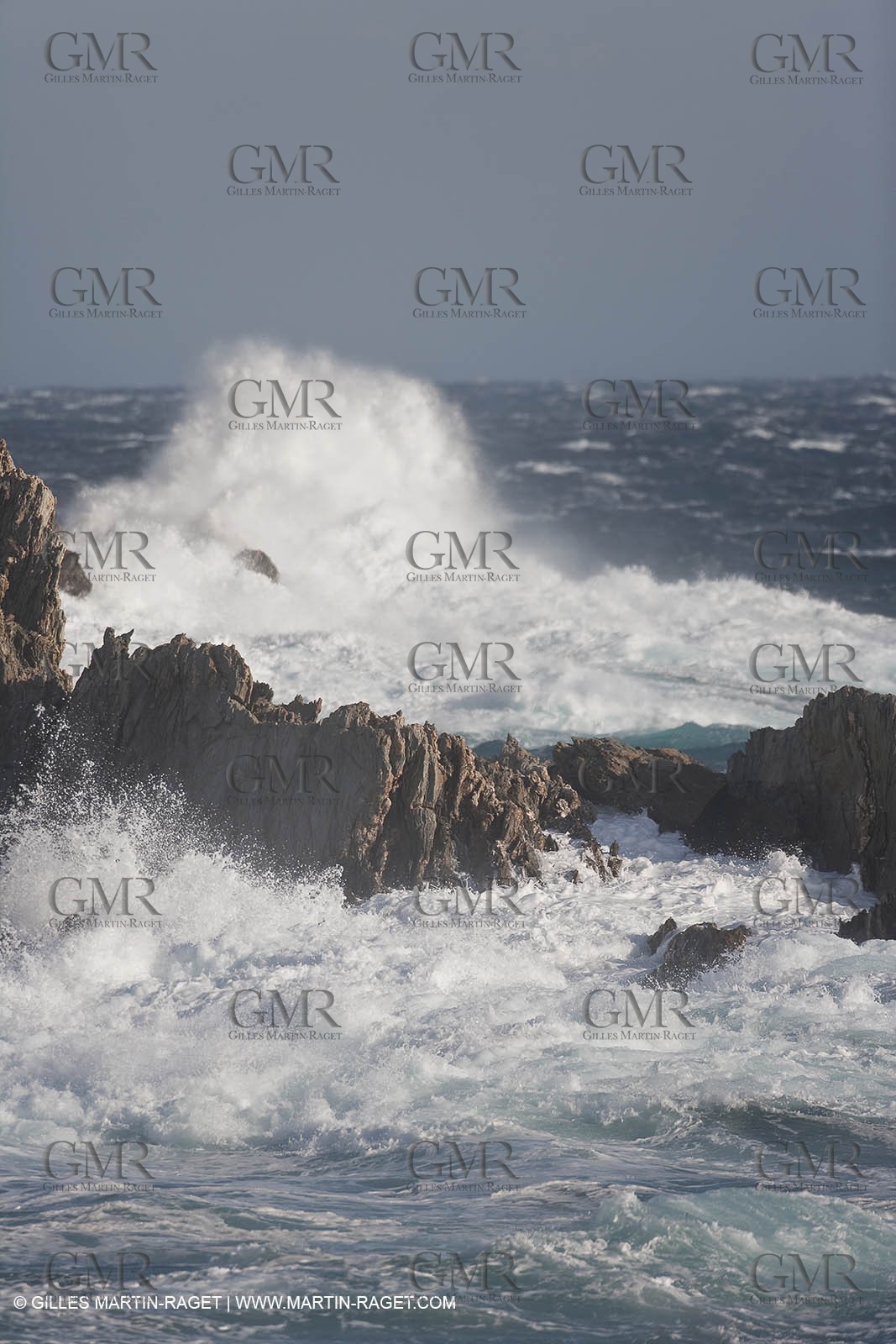 05 03 2009 - Porquerolles (FRA, 83)