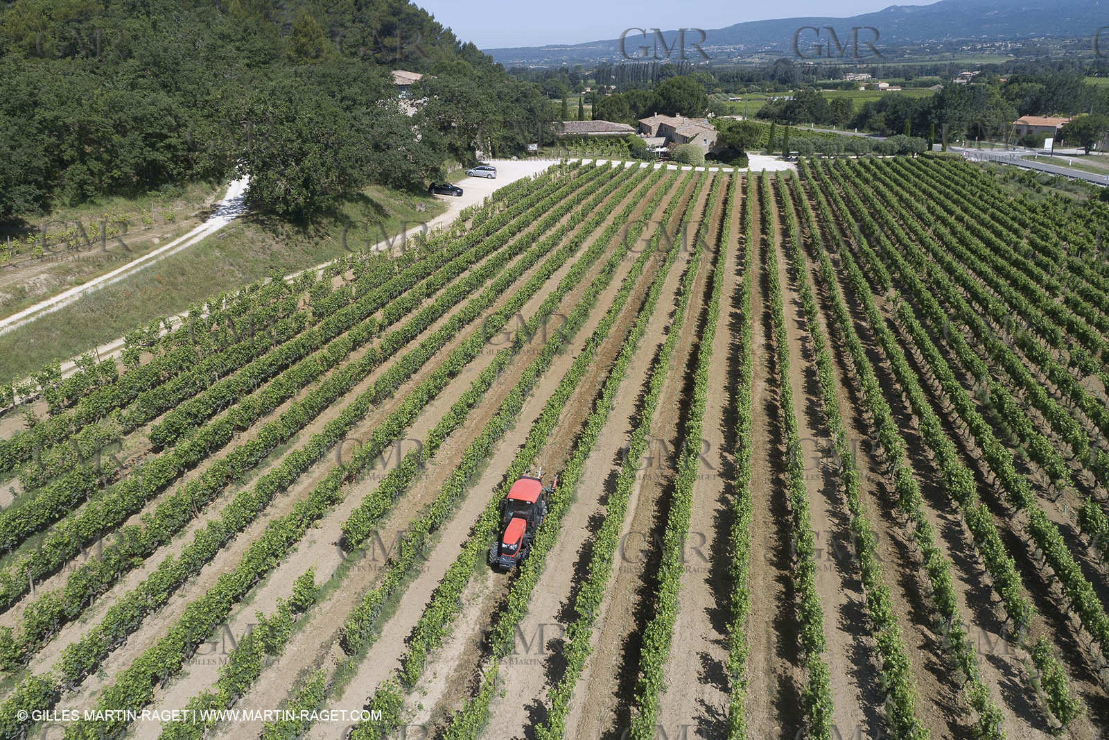 22 06 2018, Ménerbes (FRA,84), Domaine de la Citadelle
