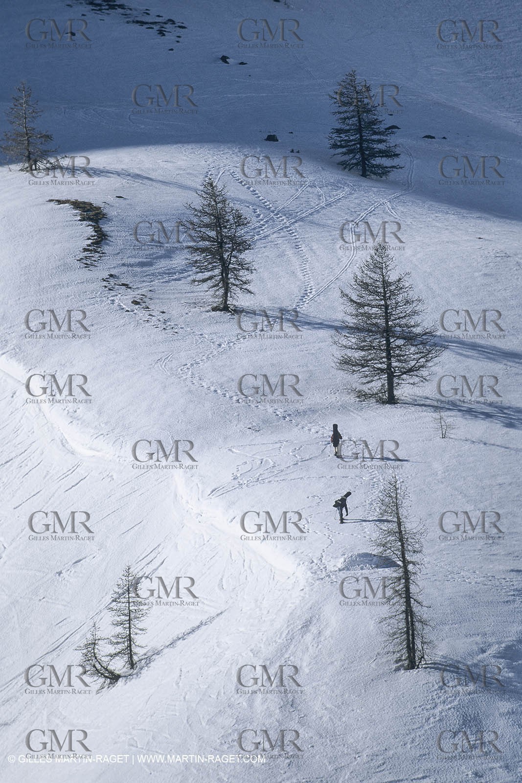 France, Provence, Southern Alps