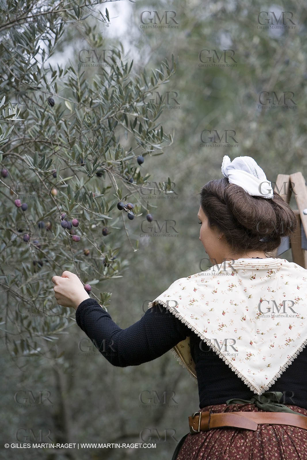 18 02 2007 - Saint Rémy de Provence - Queen of Arles in the Alpilles