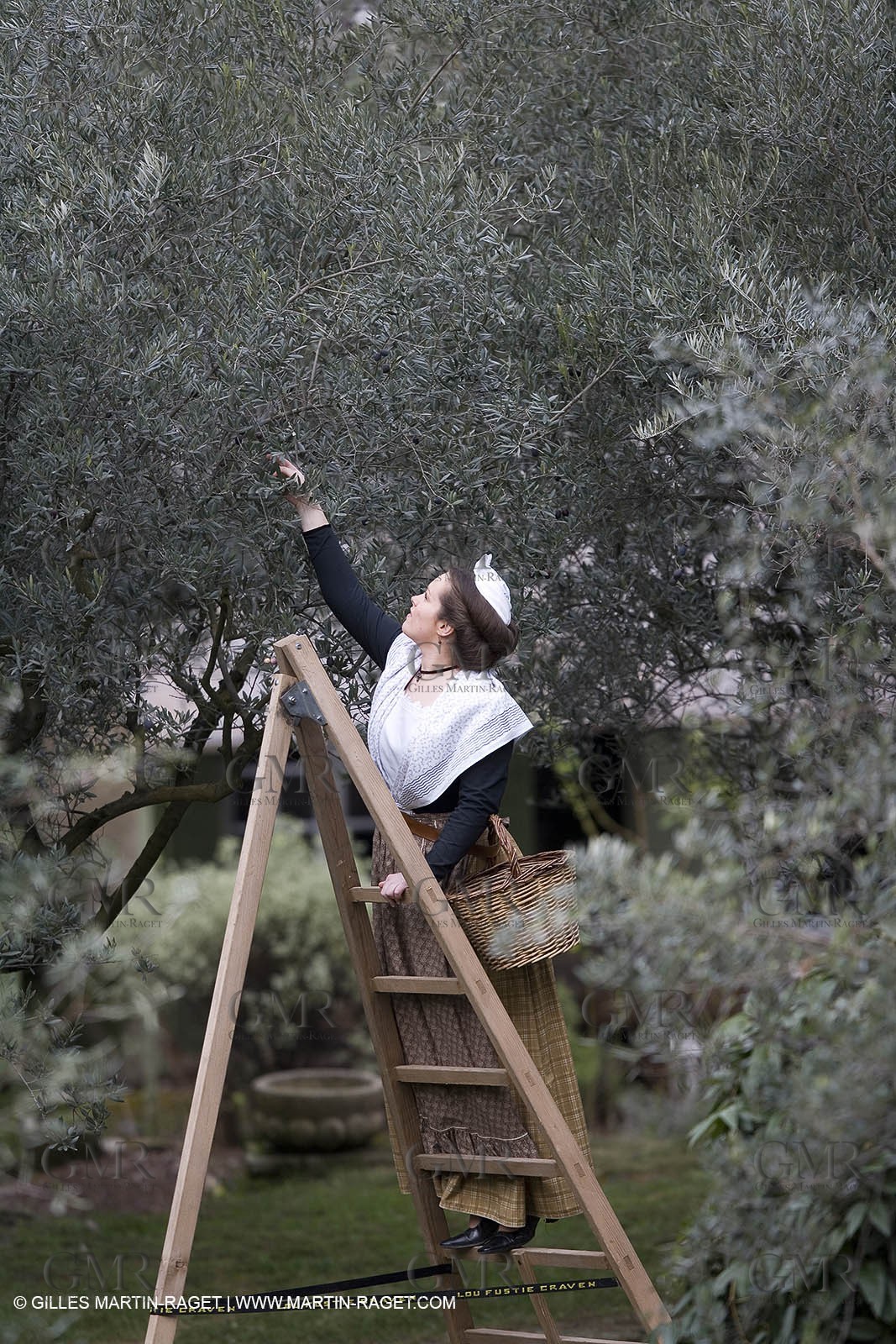 18 02 2007 - Saint Rémy de Provence - Queen of Arles in the Alpilles