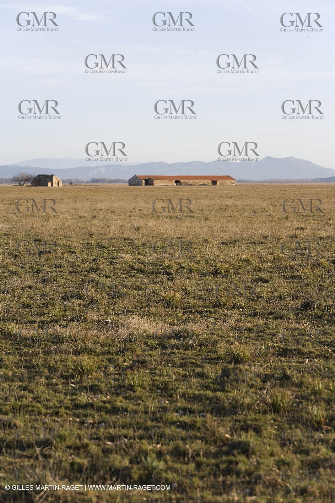 04 03 2007 - Saint Martin de Crau (FRA) - la Crau plain with Alpilles hills and Mont Ventoux in background.