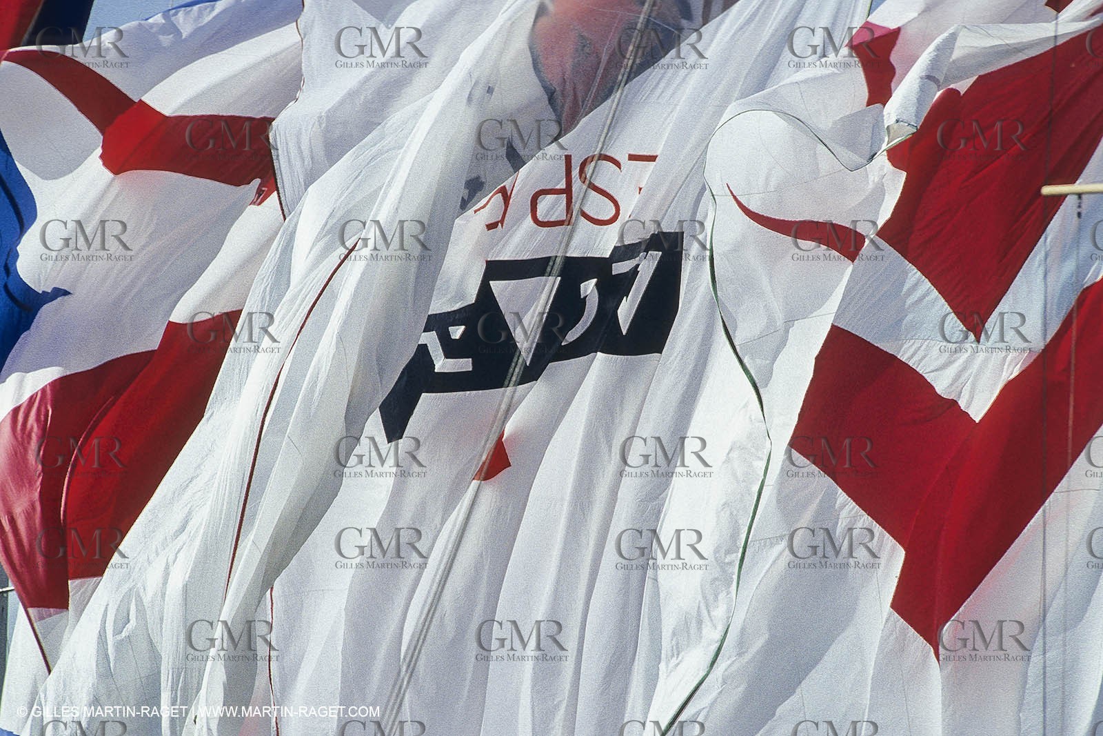 Sailing, Yacht racing, Corporate Racing, Spi Dauphine