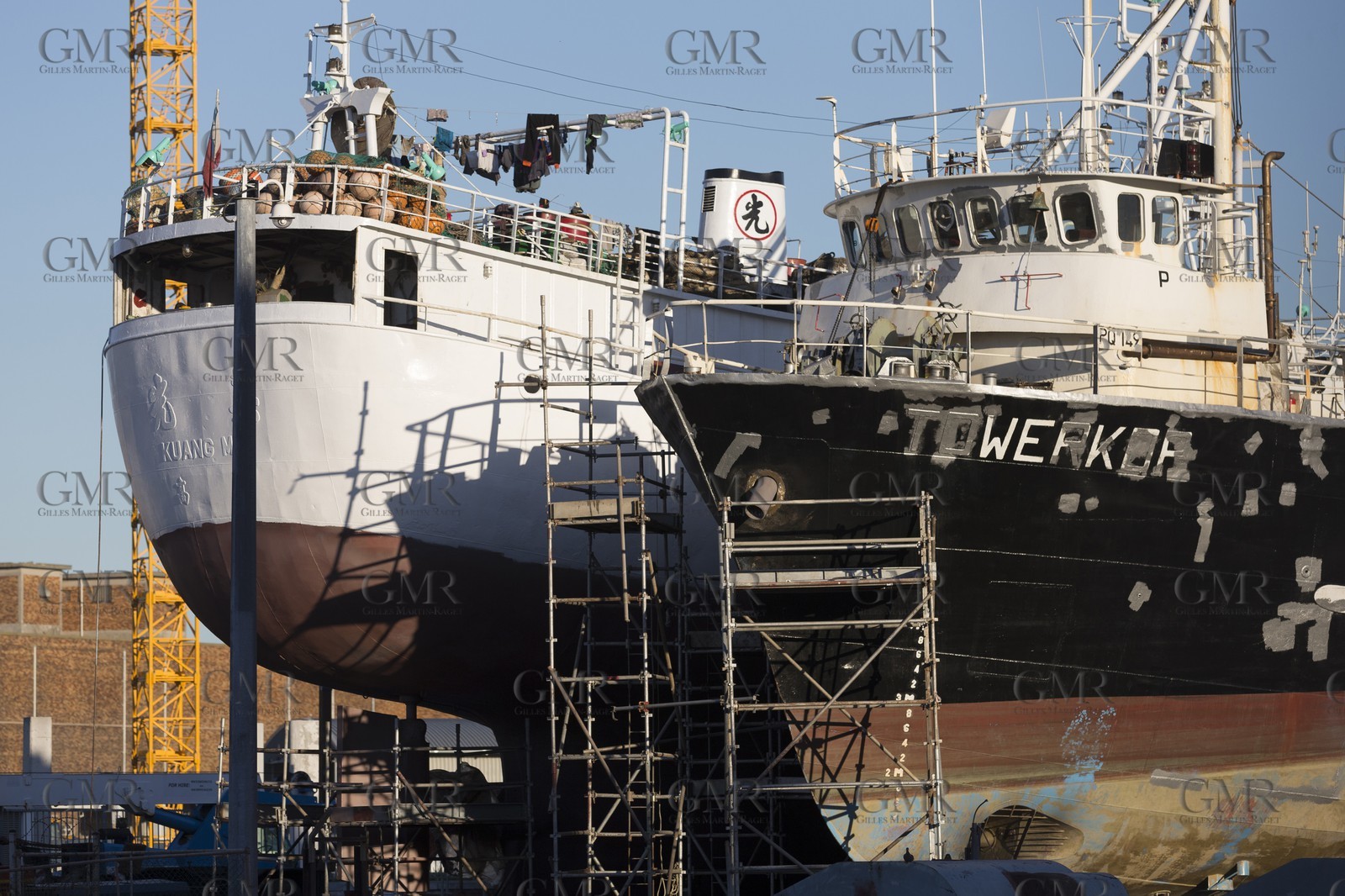 08 11 2014, Capetown (ZAF), Volvo Ocean Race 2014-15, Team Alvimedica, Nursing the boat