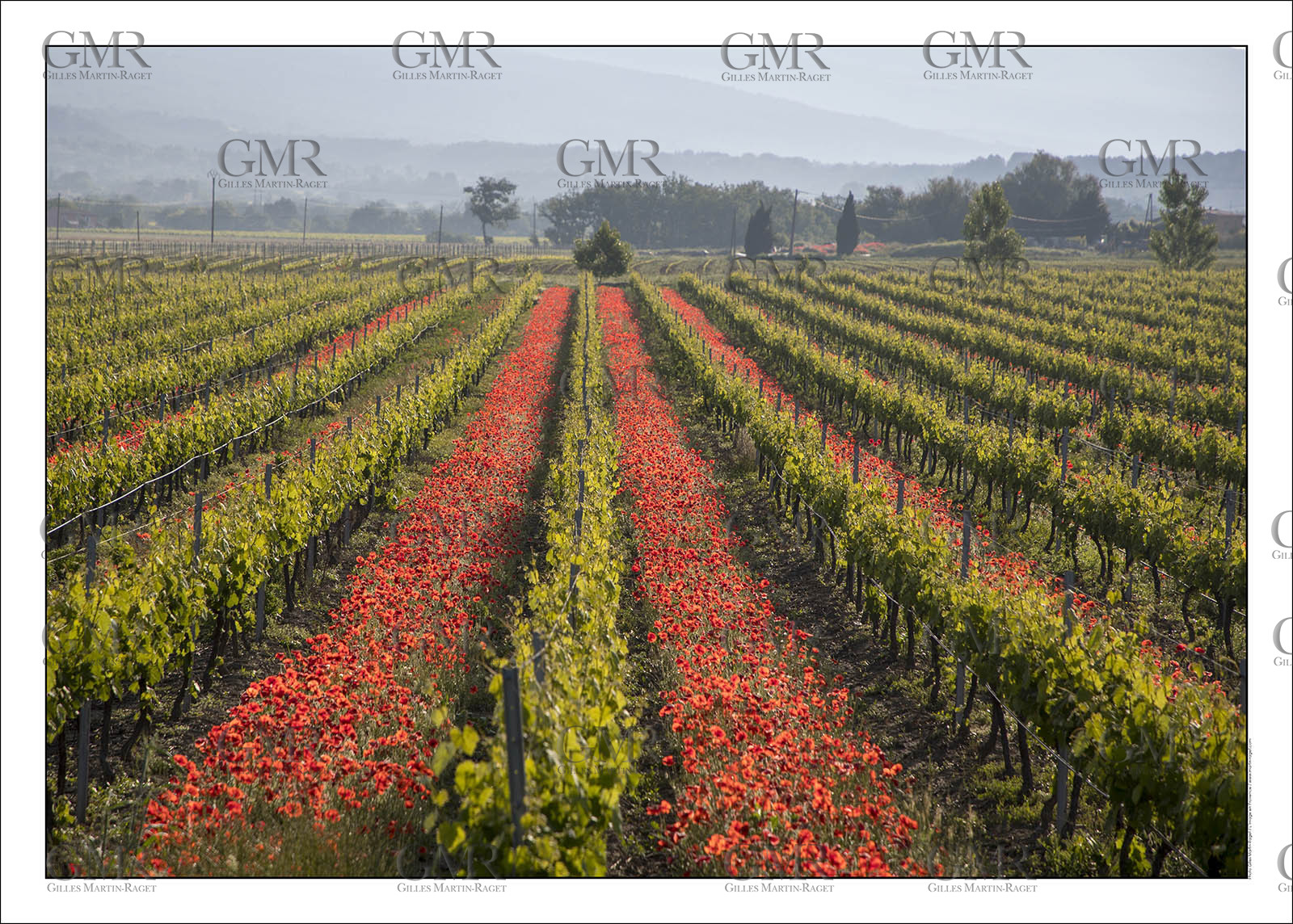 Product: in house made quality print on 8 ultrachome colors Epson ink Jet printer.Available sizes: . 30x40 cm. 50x70 cm. 80x120 cmAvailable papers: . Standard 250 gr glossy paper print, black streak, white margin, no signature. Top quality glossy 290 gr. paper, black streak, white margin, checked and signed by the author. Fine Art print (signed, numbered, stamped, registered) on demand. Other supports (Canvas, Acrylic, Metal) on demandPackaging: cylindric reinforced tubeShipping options: regular mail or Shipping companyClick on the basket icon to select your options and start the online ordering process