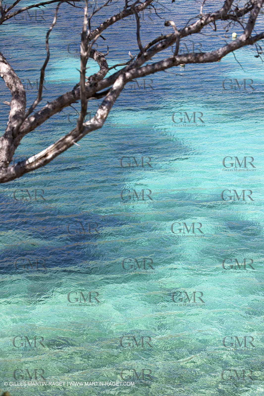 27 05 2009 - Marseille (FRA, 13) - Les Calanques - Sormiou