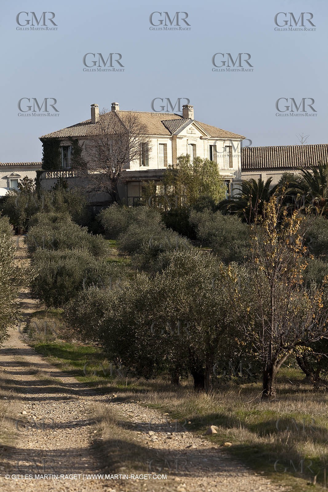 Saint Drézéry (FRA, 34), Domaine de Puech Haut