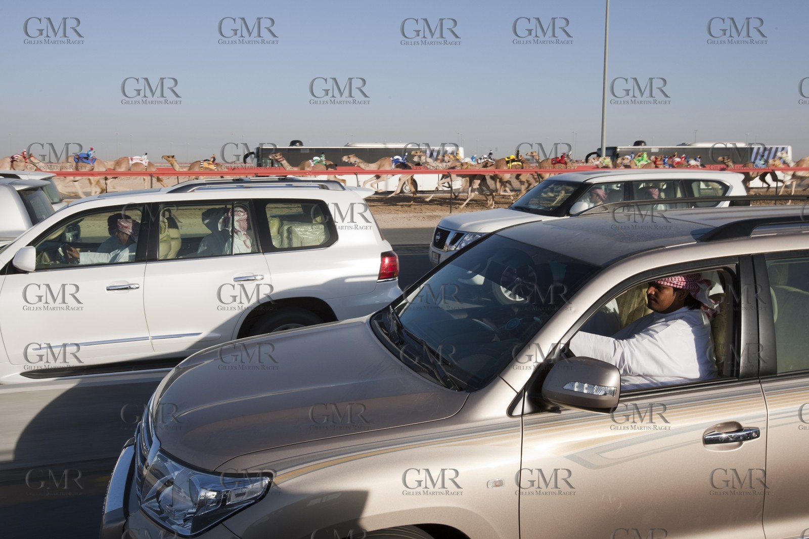 20 11 2010 - Dubai (UAE) - Camel races
