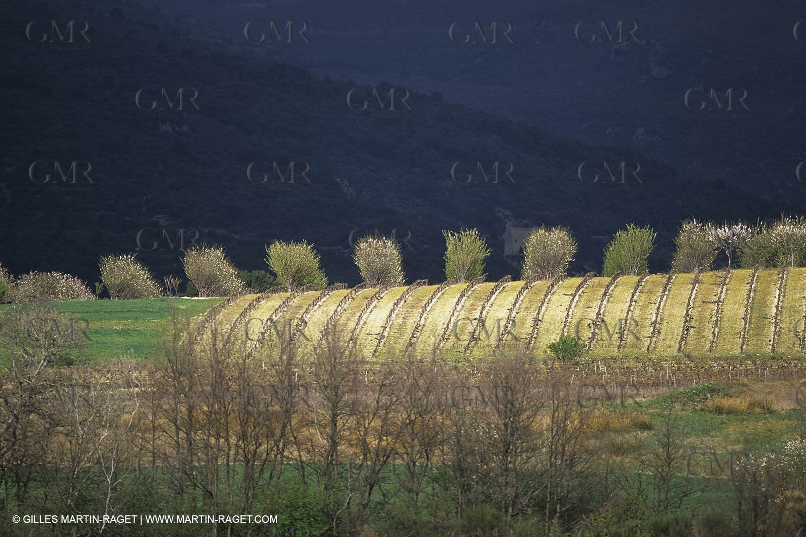 Luberon in winter near Saint Satrunin les Apt (FRA,84)