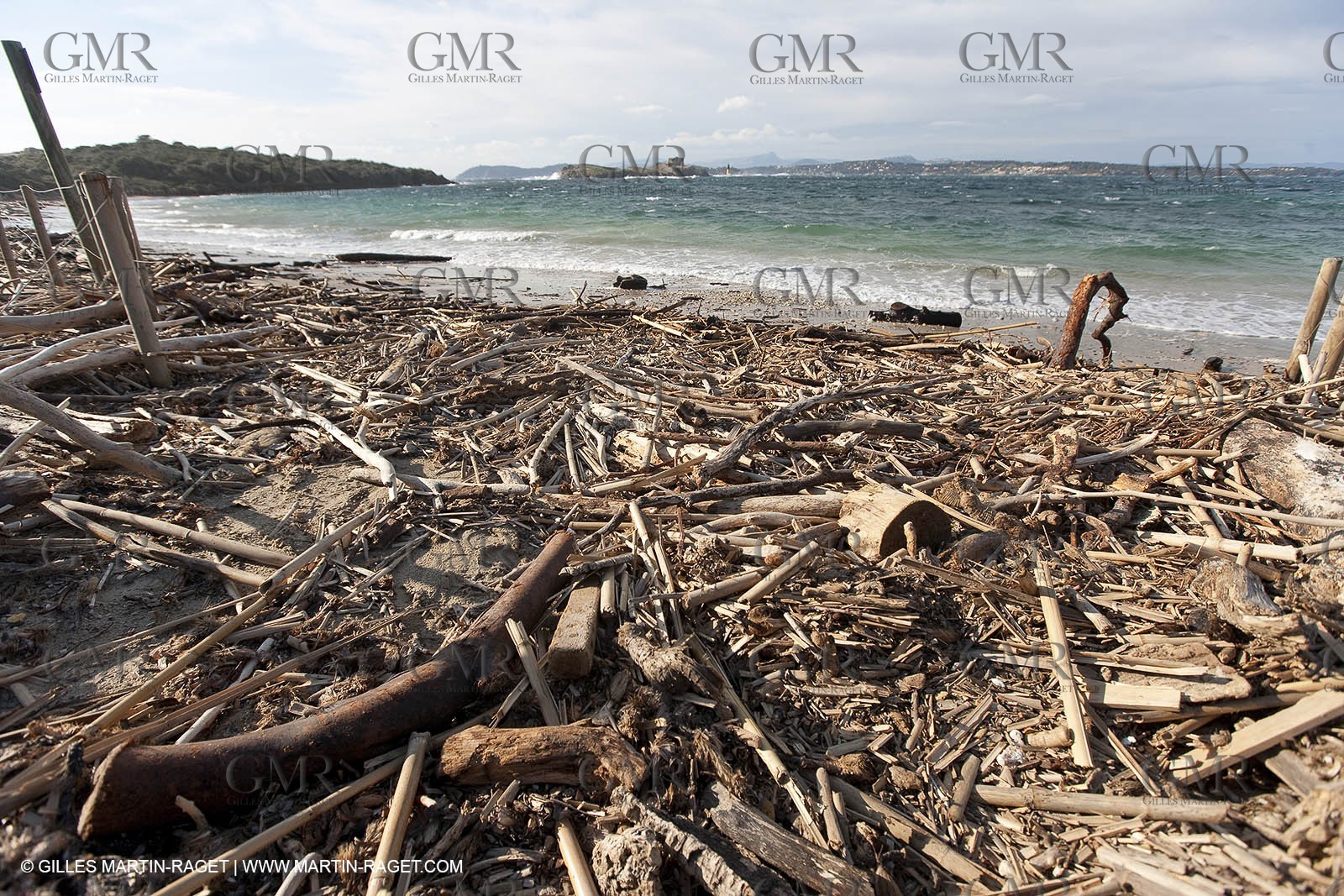05 03 2009 - Porquerolles (FRA, 83)