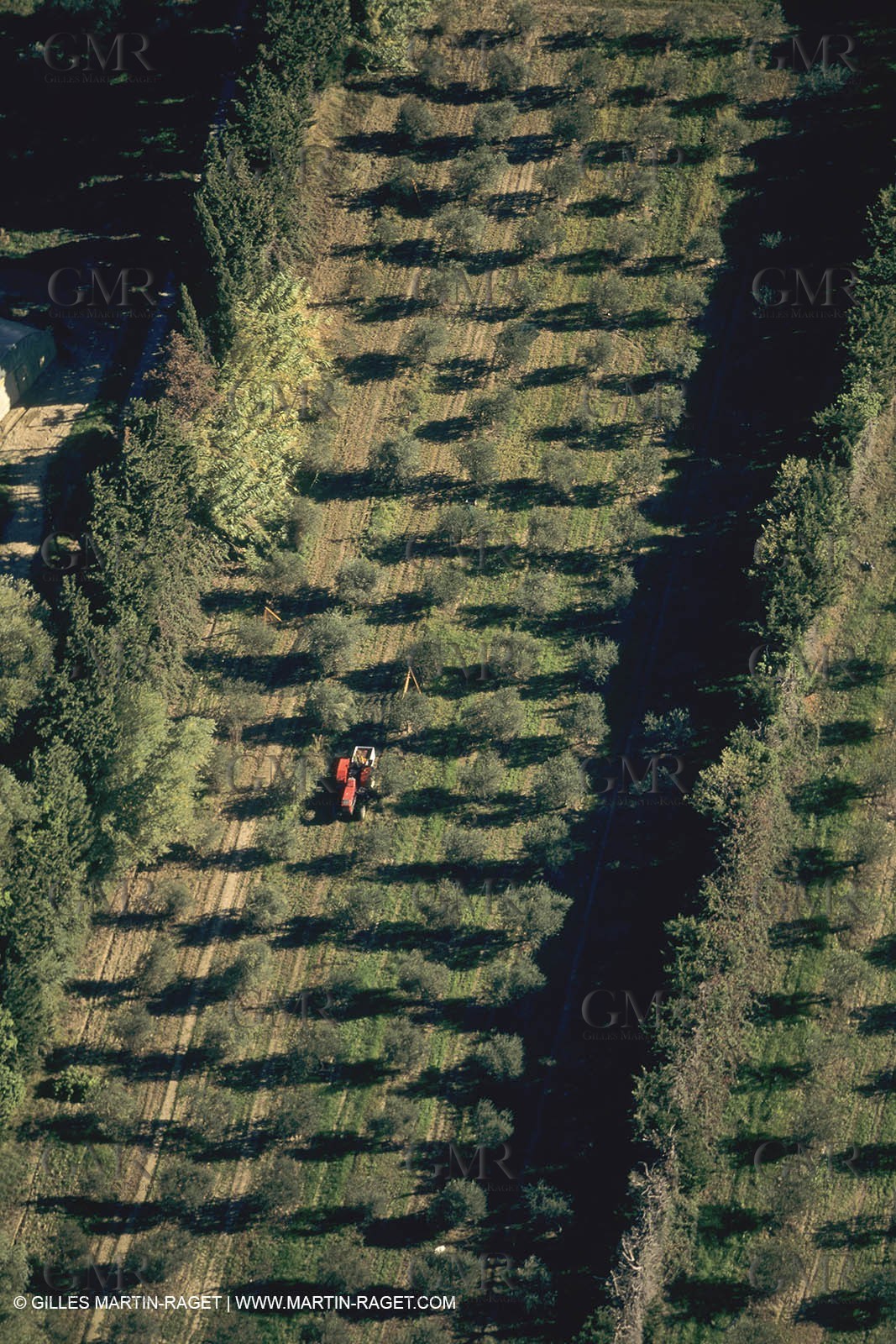 France, south, Alpilles landscapes