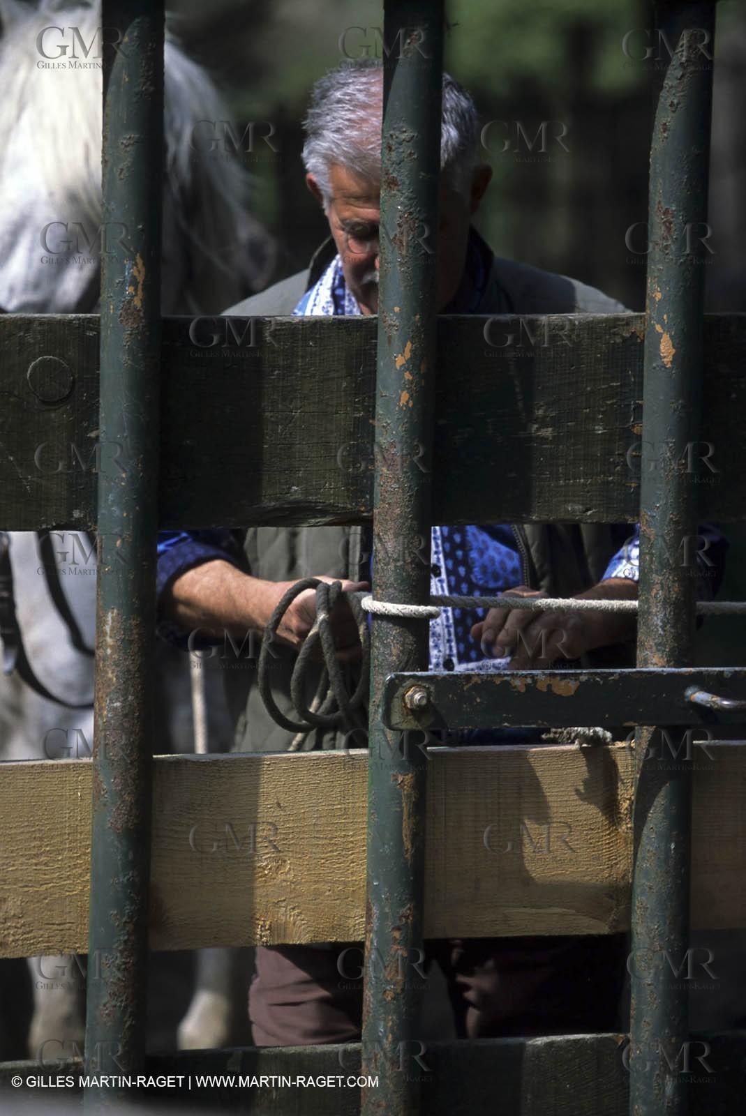 Arles - Camargue gardians (cow boys) at work