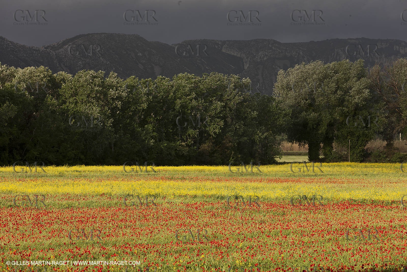 29 04 2012 ( Saint Rémy de Provence (FRA, 13) - Chaîne des Alpilles vers Romanin