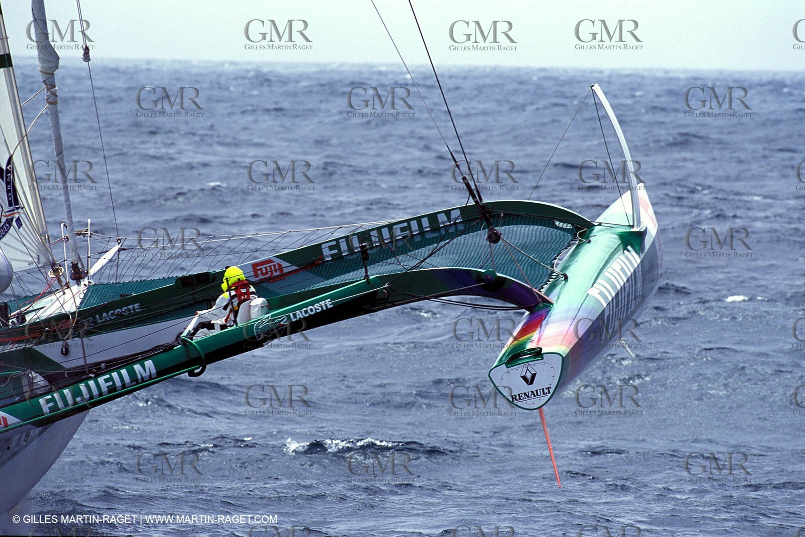 RhuMulti38.jpg