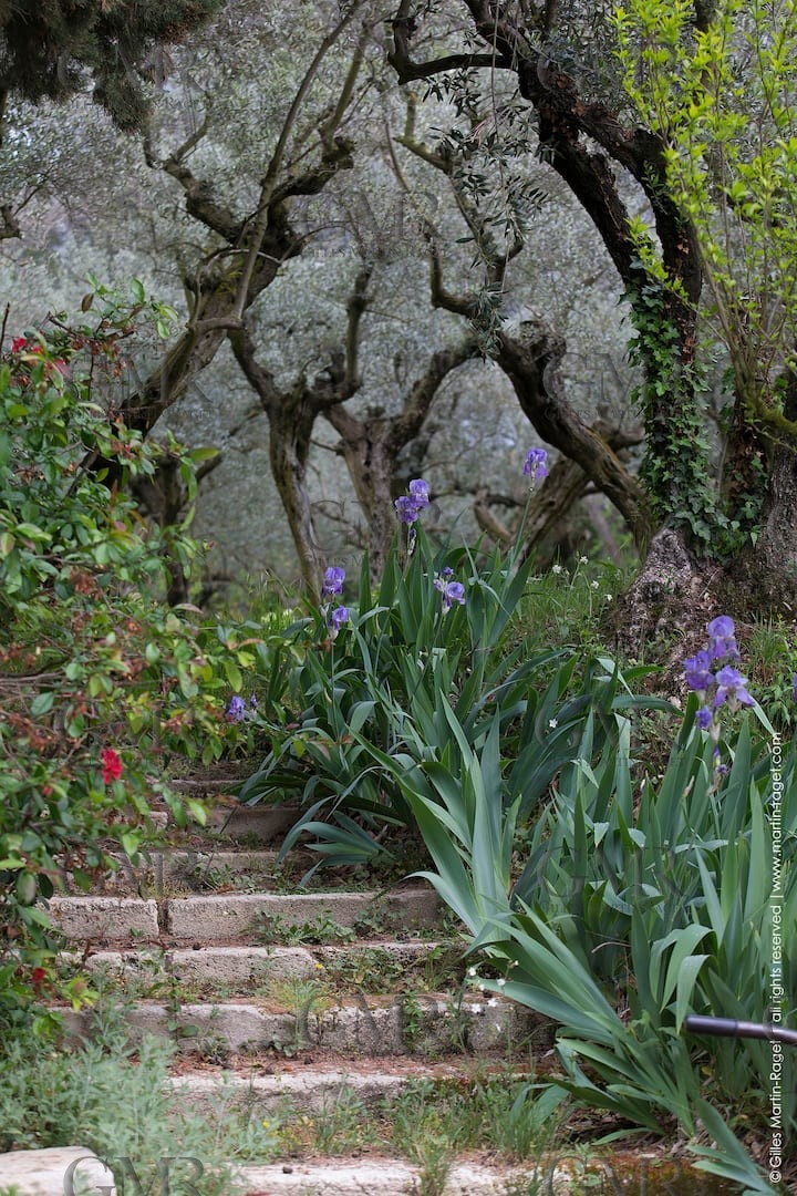 338d7b7f-da21-4e36-9317-b9463380d24d