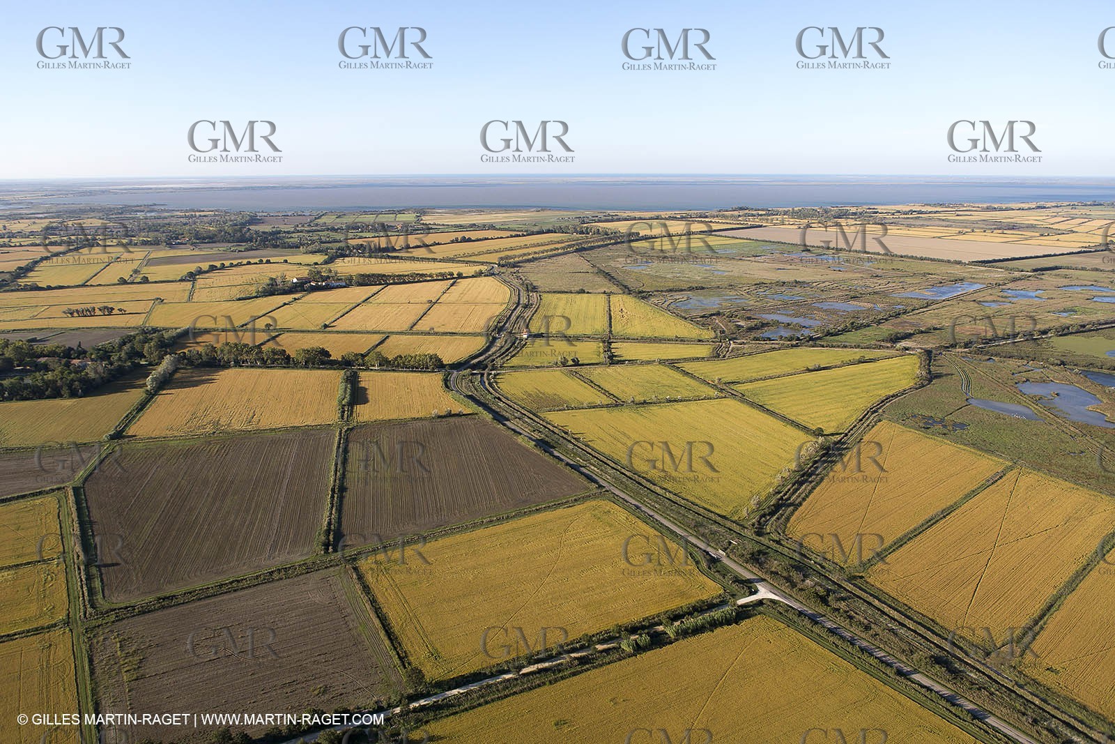 16 09 2012 - From AIx les Milles to la Grande Motte - Agriculture in north Camargue