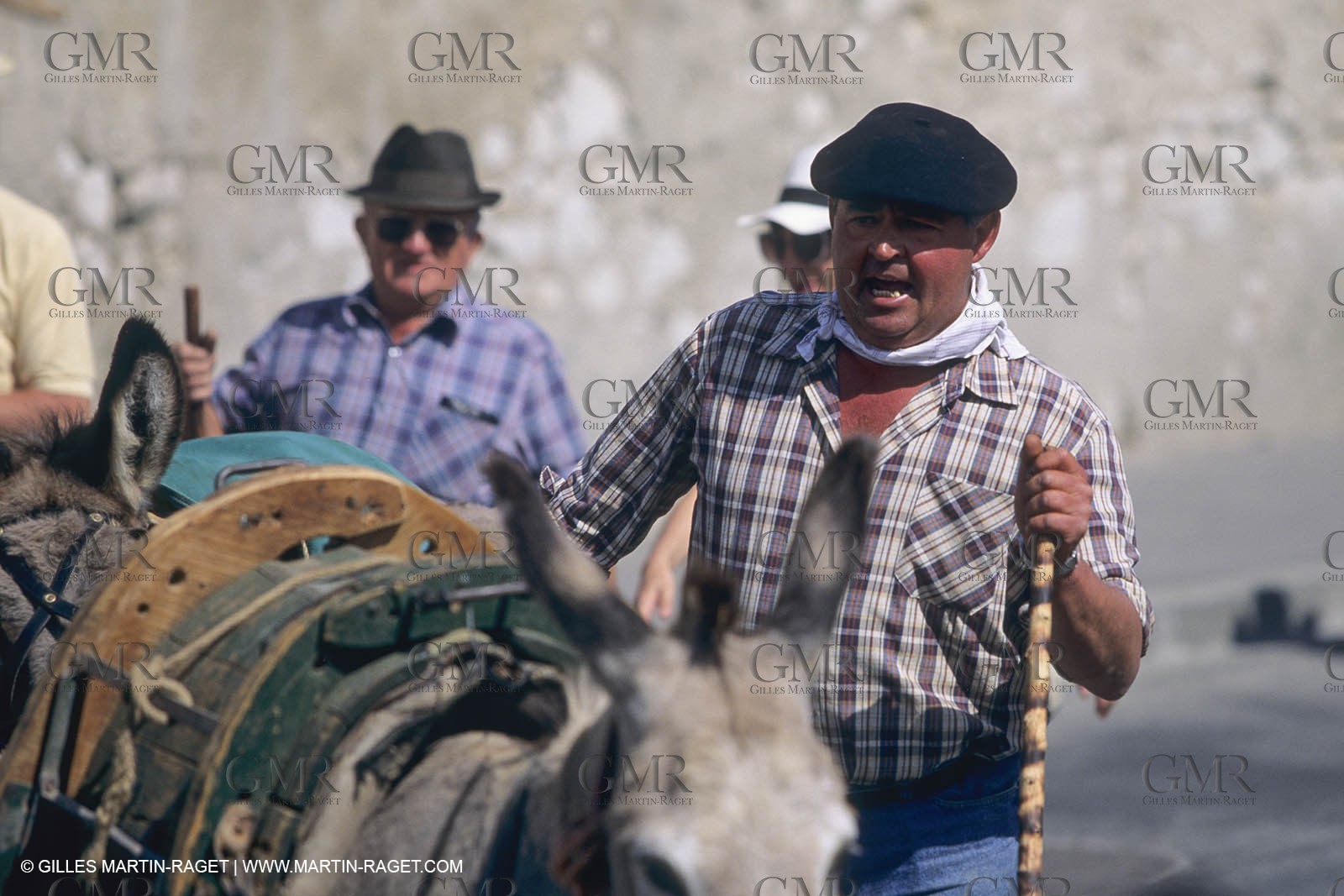 France, Provence, Moutons, bergers, élevage, transhumance