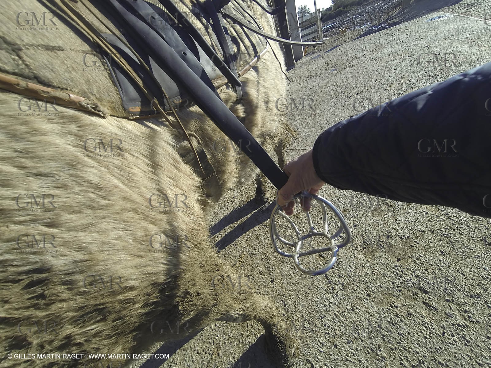 26 12 2013 - Les Saintes Maries de la Mer (FRA,13) - Horese riding at Cabanes de Cacharel