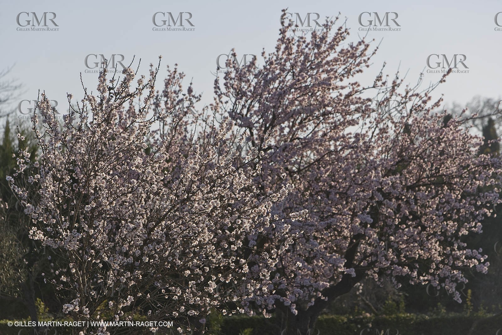 09 02 2008 - Les Baux de Provence (FRA, 13) - Alpilles hills landscapes