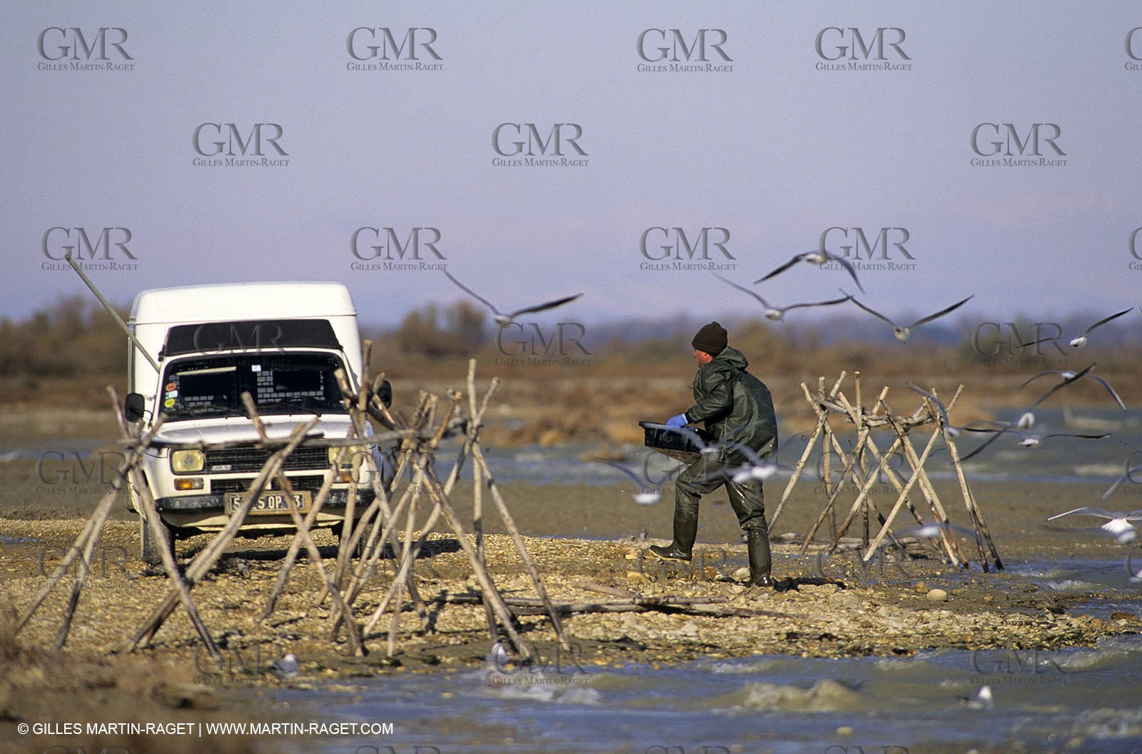 Camargue (FRA,13) - Gardians