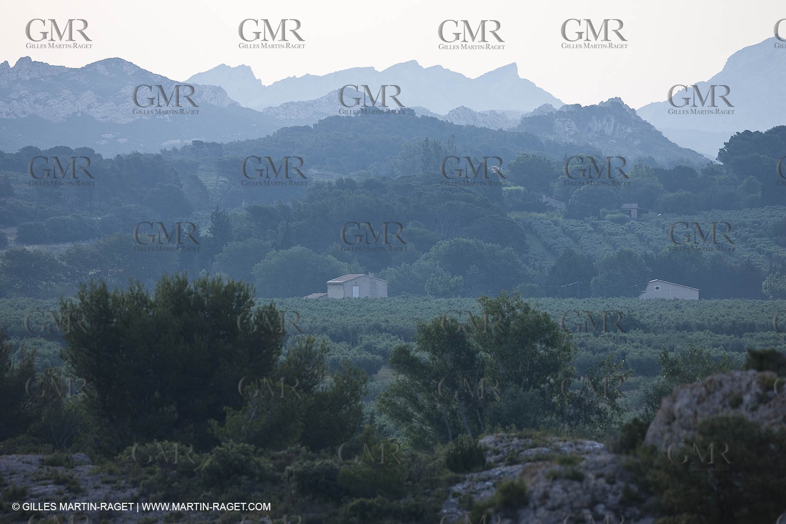 June 24th 2008 - Mouriès (FRA,13) - Alpilles hills landscapes - Le Destet area