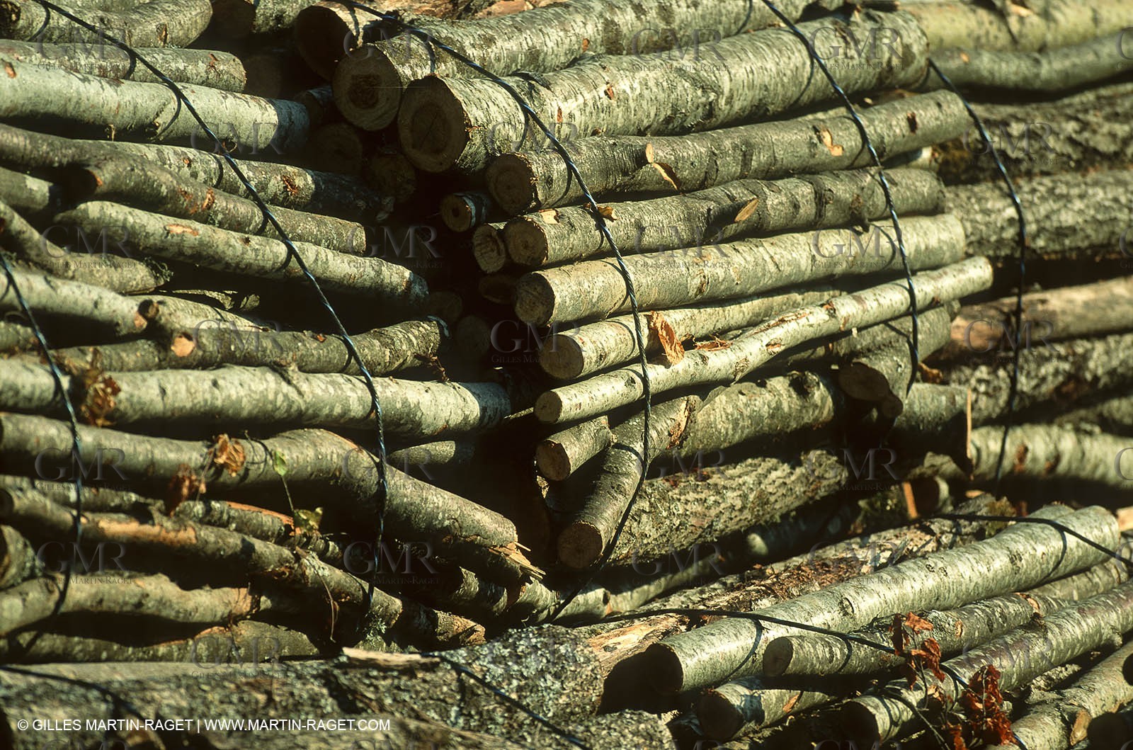 France - Southern Alps
