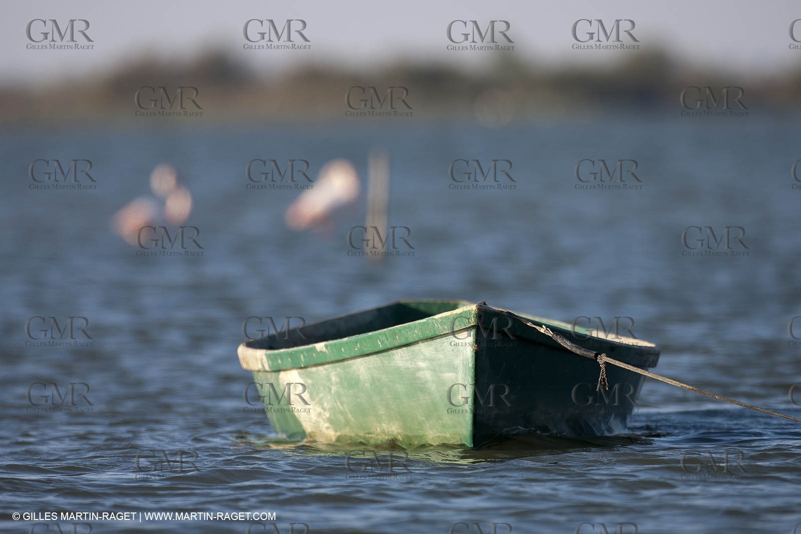 18 04 2011 - Les Saintes Maries de la Mer -  on Les Imperiaux pond