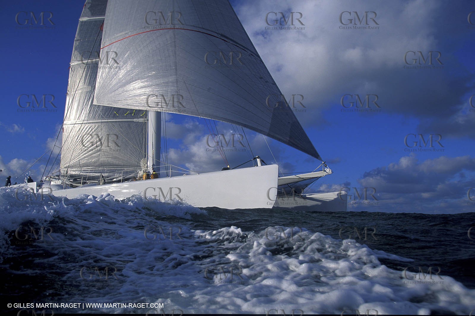 The Race - Team Adventure