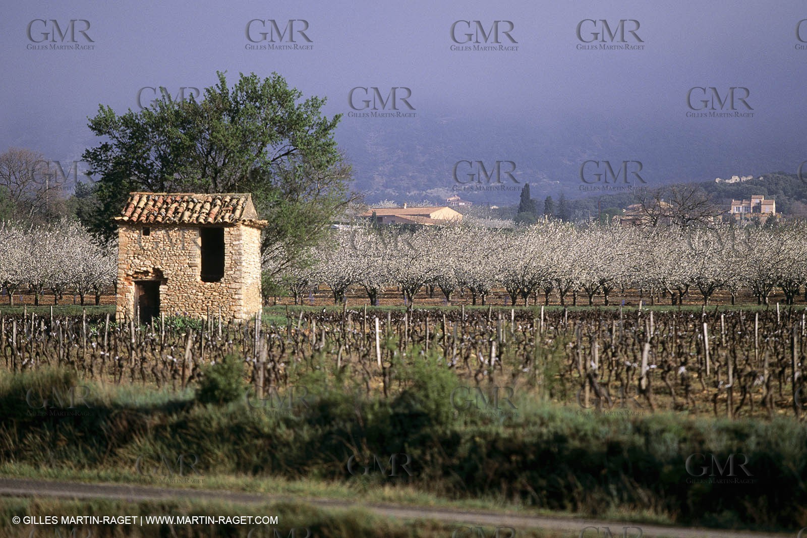 Luberon in winter near Saint Satrunin les Apt (FRA,84)