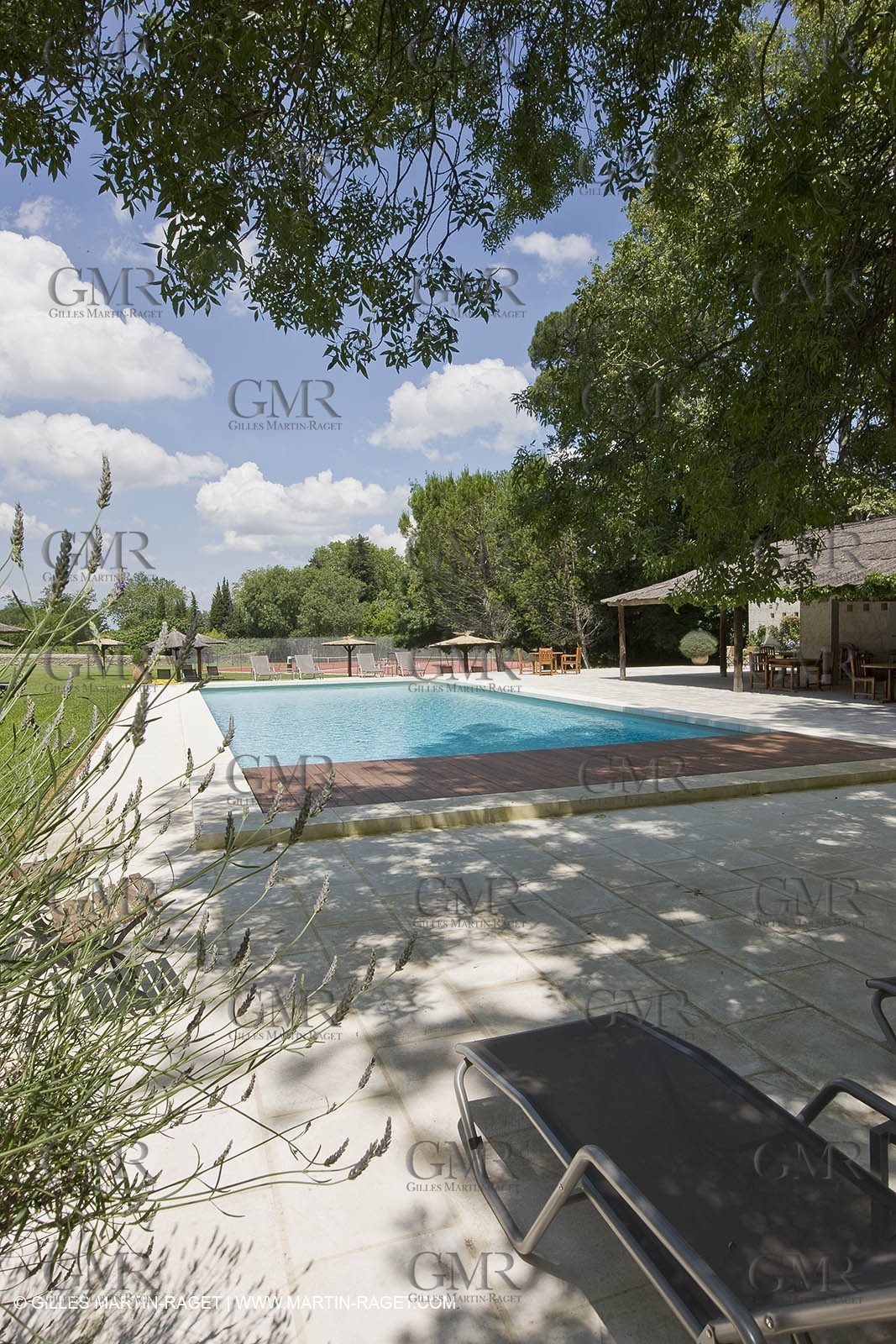 10 06 2008 - Saint Rémy de Provence (FRA,13) - Chateau des Alpilles