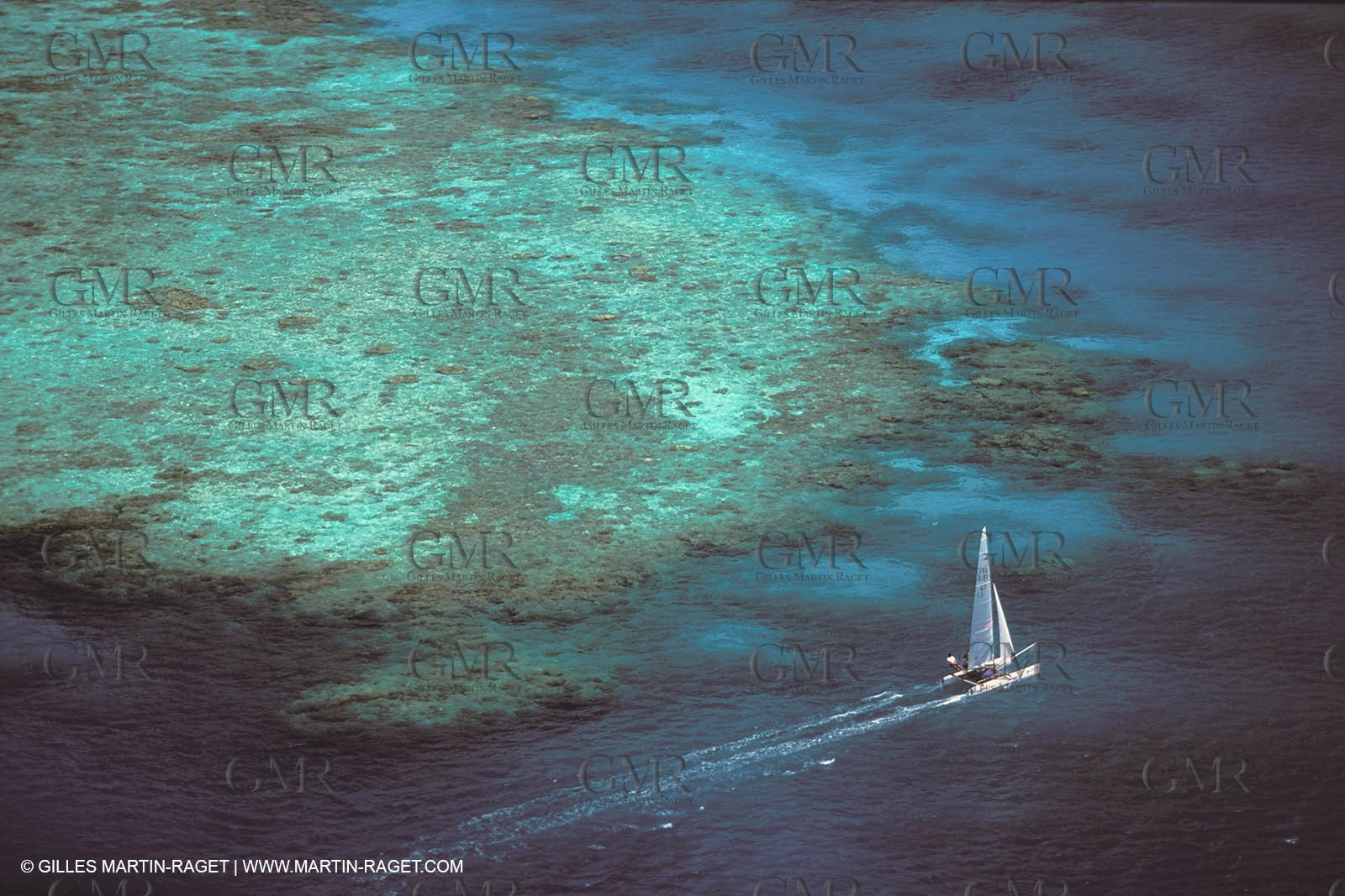 Dinghies - Raids - Sport Catamarans