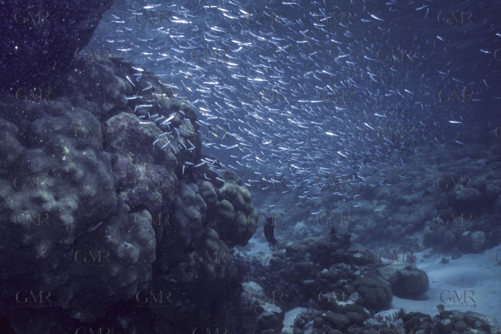 Destinations, Antilles, West Indies, Caribean, Grenadines