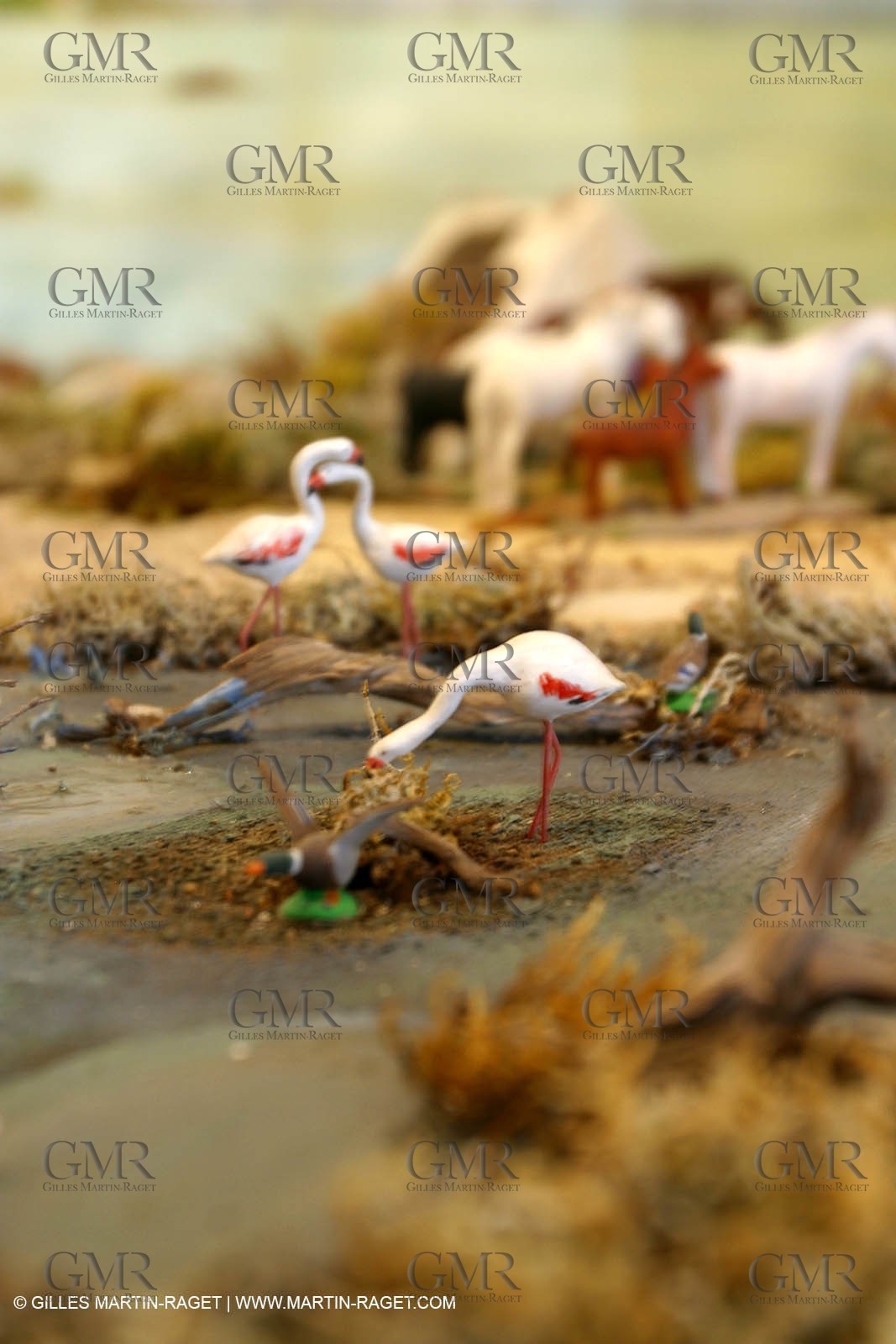 Great crib from les Saintes Maries de la mer (FRA, 13) for Christmas, December 2010