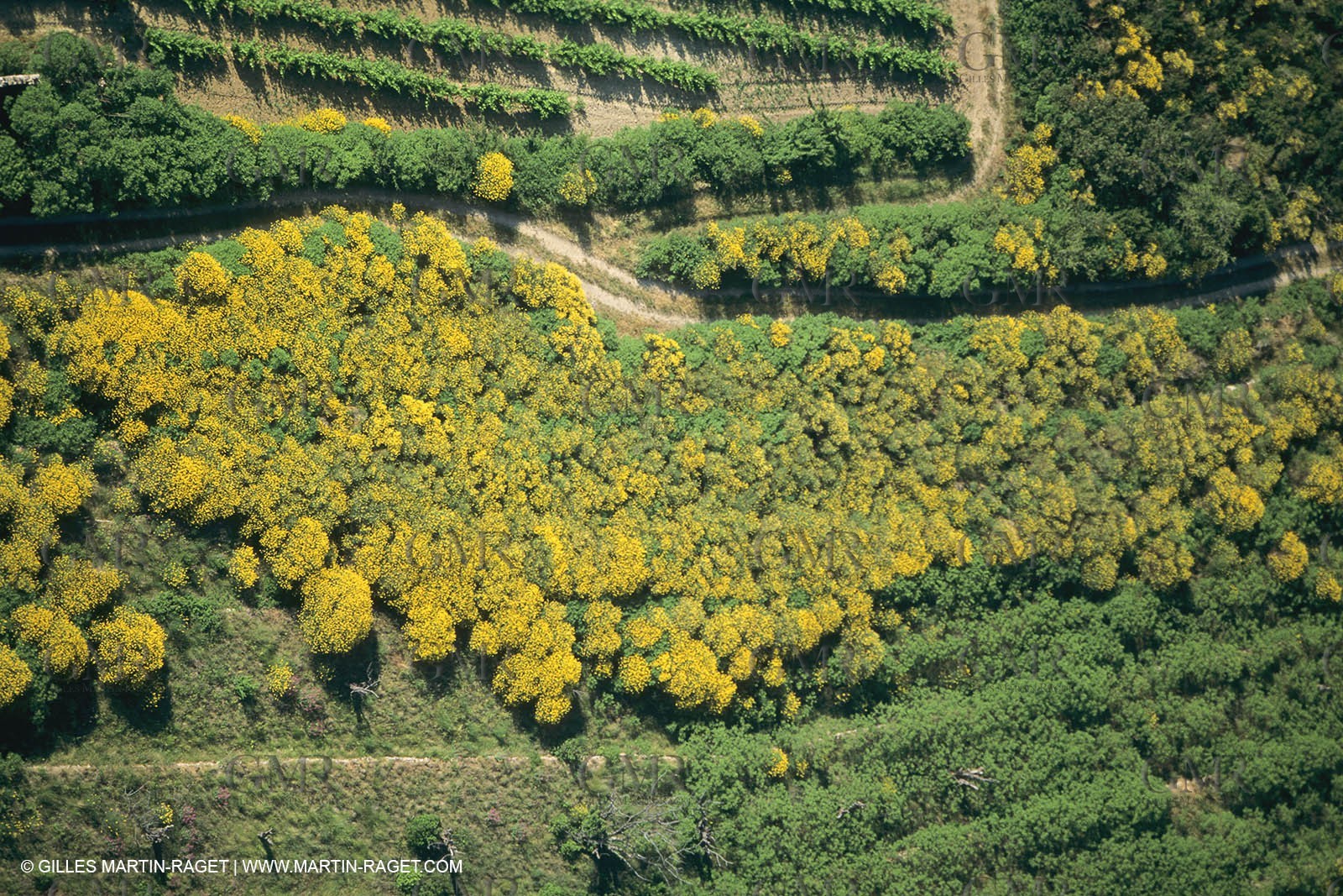 France, Provence, Pays d'Aubagne, collines de Marcel Pagnol