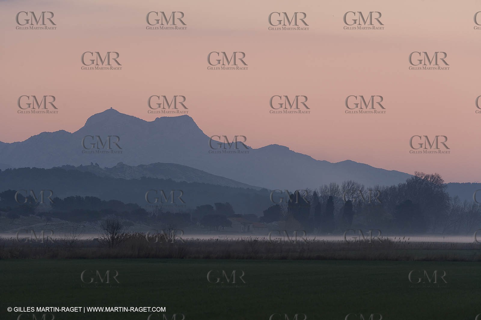 22 02 2008 - Maussane (FRA, 13) - Alpilles hills landscapes