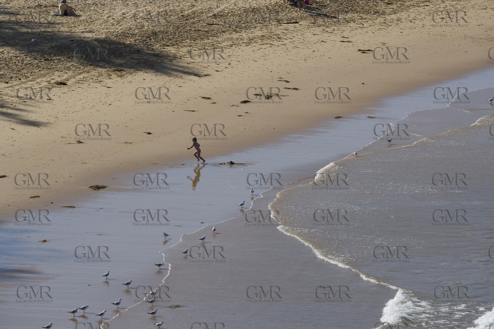 11 12 2006 - Australie - New South Wales - Central coast - Gosford & environs