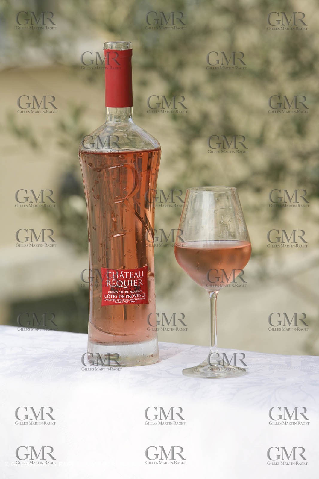 28 02 2008 - Cabasse (FRA, 83) - Domaine du Lac vines