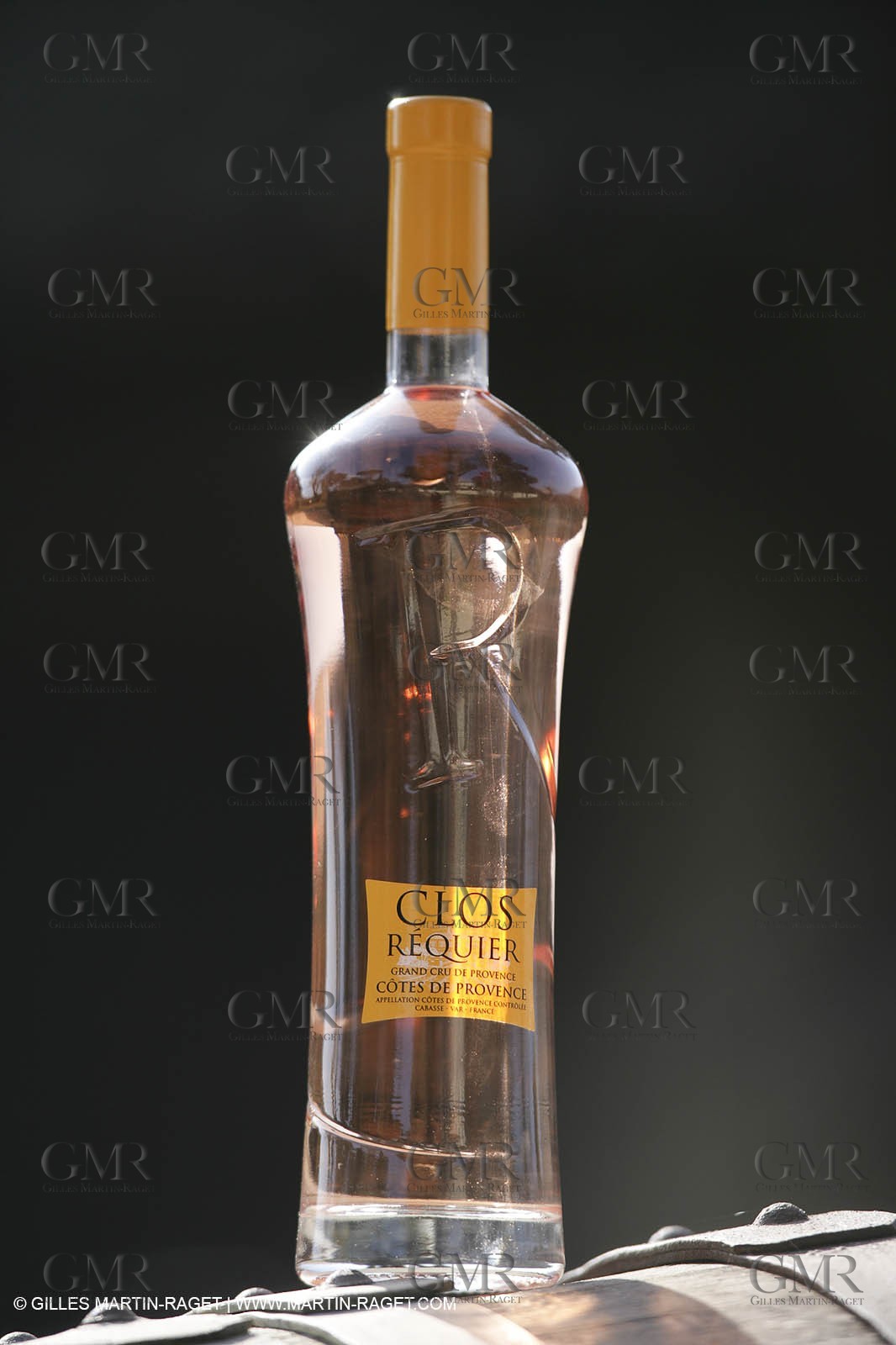 28 02 2008 - Cabasse (FRA, 83) - Domaine du Lac vines