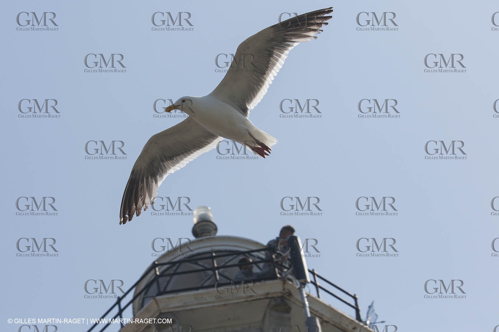 02 07 2013 - San Francisco (USA,CA) - 34th America's Cup - Setting up the LiveLine Media on Alcatraz