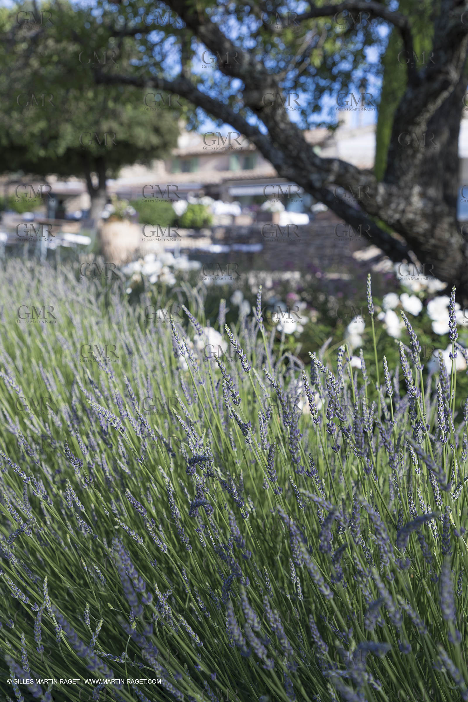 09 06 2018, Gordes (FRA,84), Hotel Les Bories