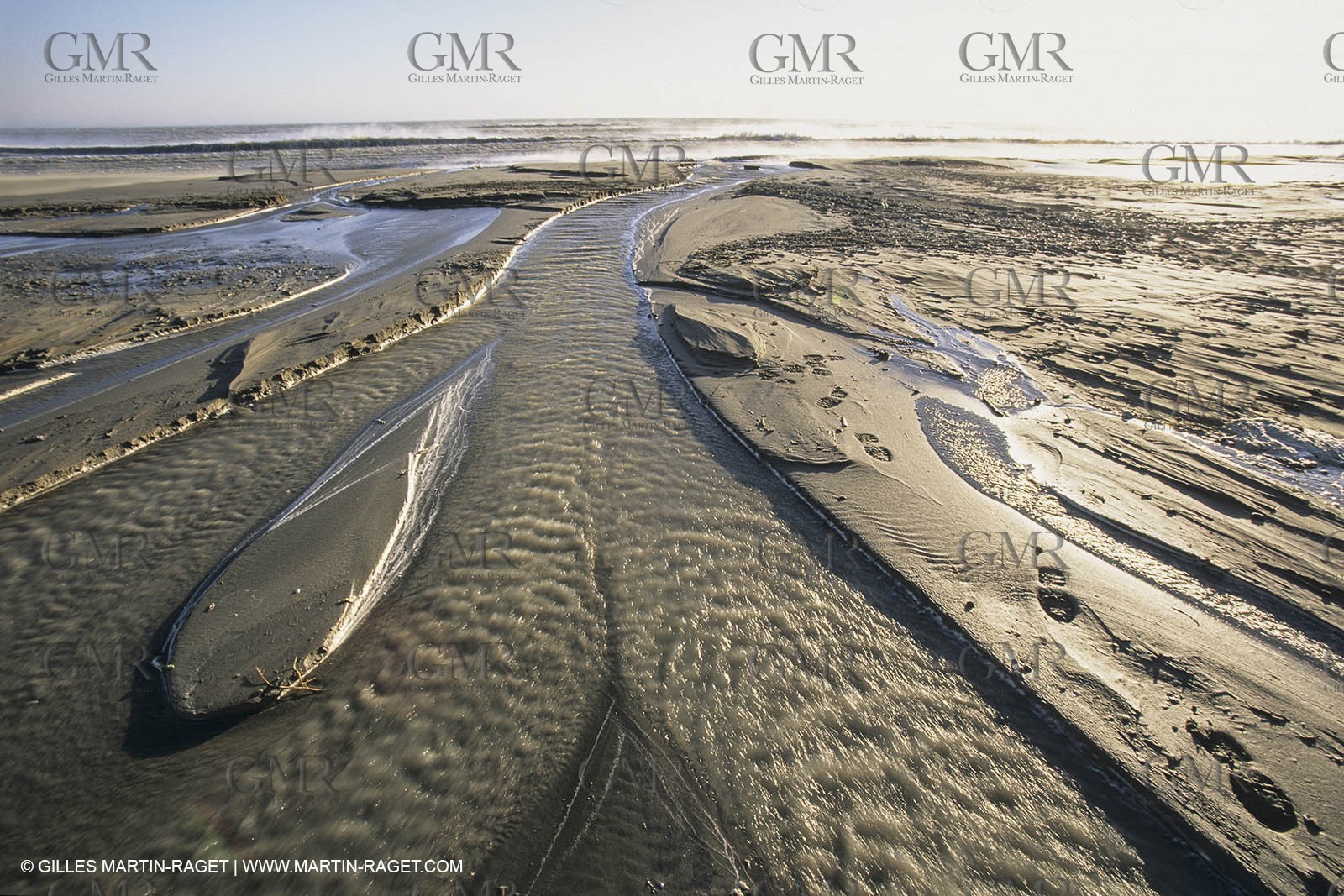 France, Provence, Camargue, Nature, marais, plage, beaches, marshes