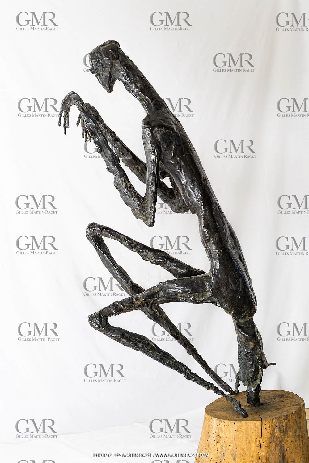 12 07 2020, Oeuvre Germaine Richier, La Mante Grande, 1946, épreuve d'exposition